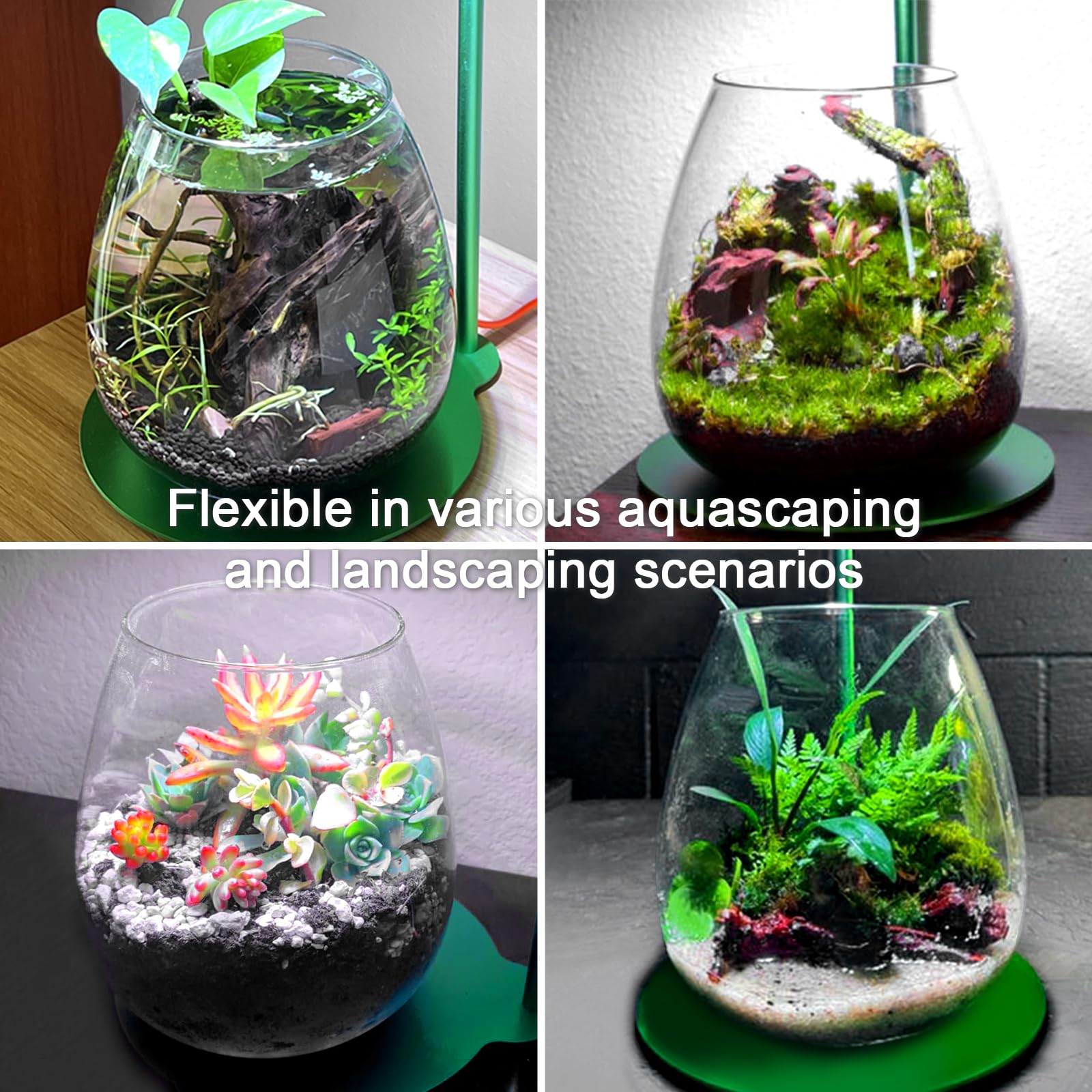 【Umizon】MOSSboard Qteppeihirota Amazon.com: FZONE Terrarium with Light - Moss Micro
