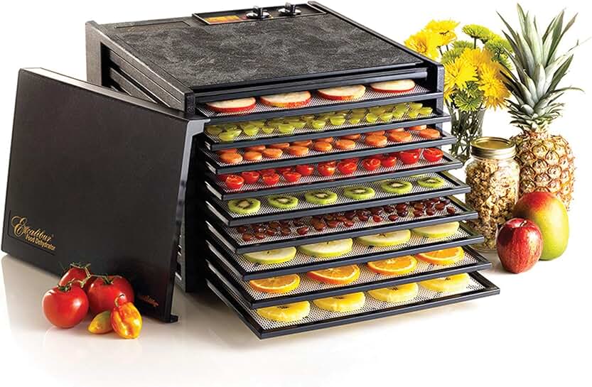 mini food dehydrator