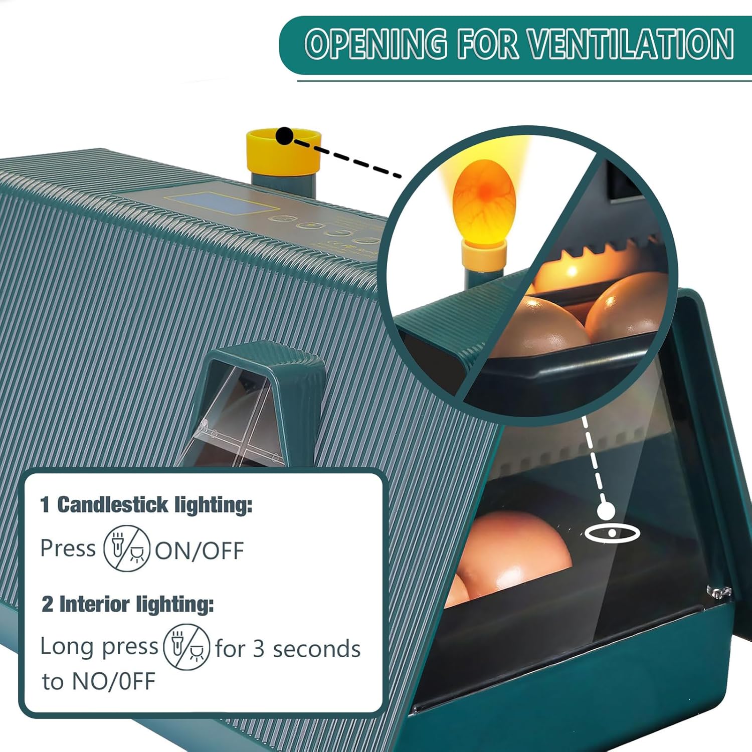 Incubatrice per uova