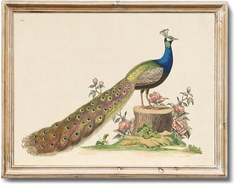 RETRART Quadro de Pavão com Flores Cor-de-Rosa em Tela, Sem Moldura, 20,32 cm x 25,4 cm