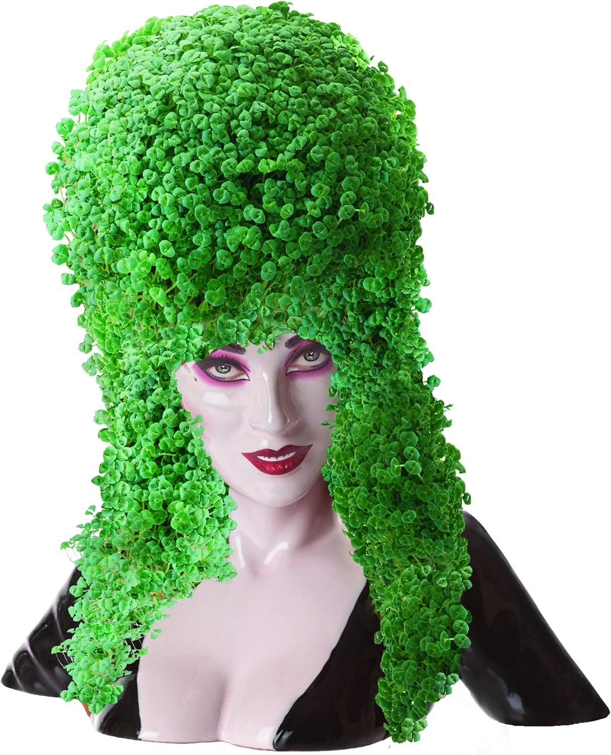 Chia Pet Elvira with Seed Pack, Decorative Pottery Planter, Easy to Do and Fun to Grow, Novelty Gift, Perfect for Any Occasion