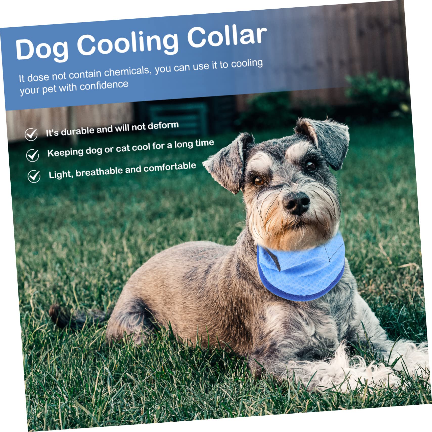 Mipcase 4stücke Pet Cooling Towel Für Hunde Atmungsaktiver Kühl-schal Für Sommeraktivitäten Leicht Und Tragbar Zur Temperaturregulierung Für Kleine Bis Mittelgroße Haustiere Mit