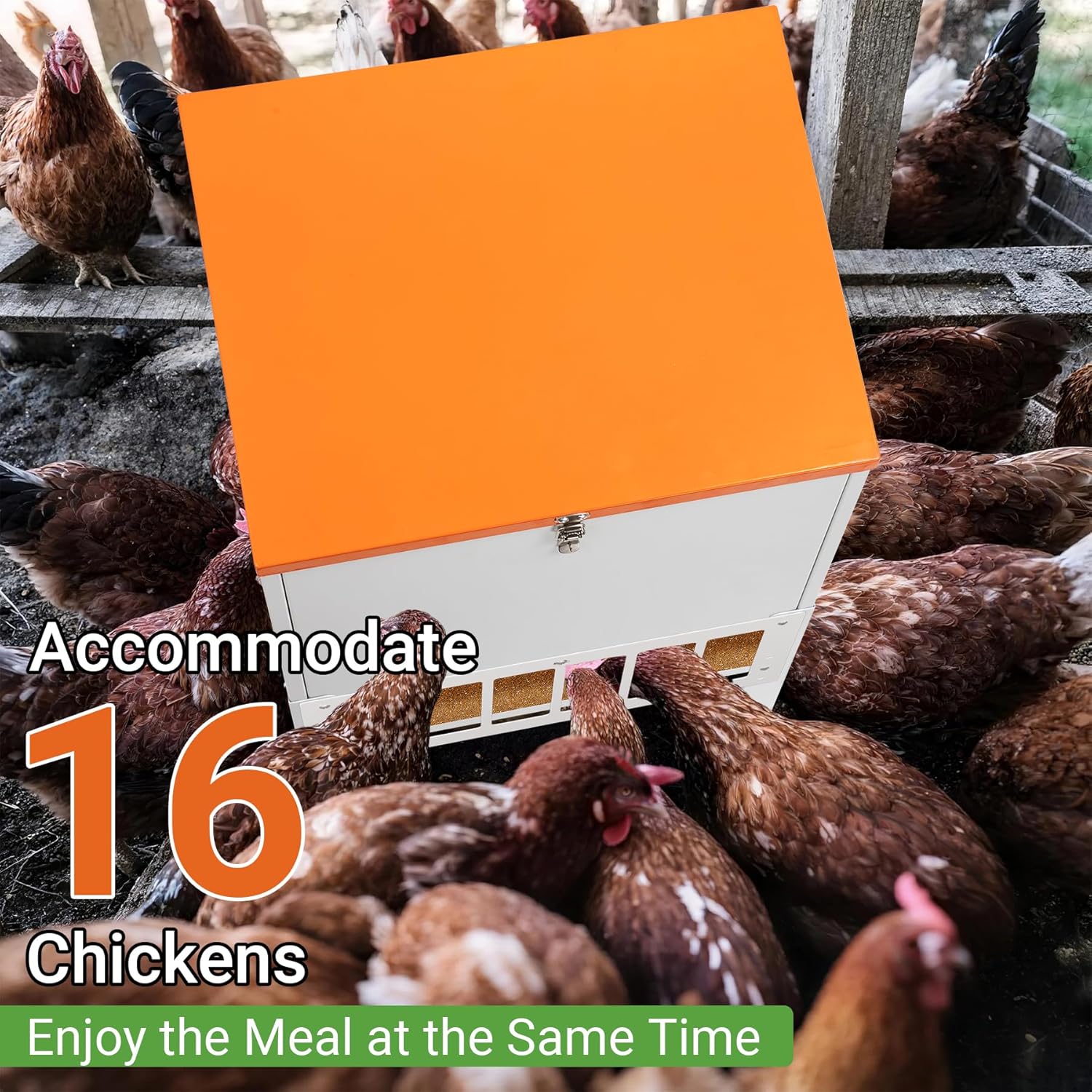 Chicken Feeder with Grille, 85LBS No Waste Chicken Feeder with 22 Ports, Powder-Coated Steel Feeder w/Waterproof Lid and Stainless Handles, 18”L x 15.1”W x 29.5”H