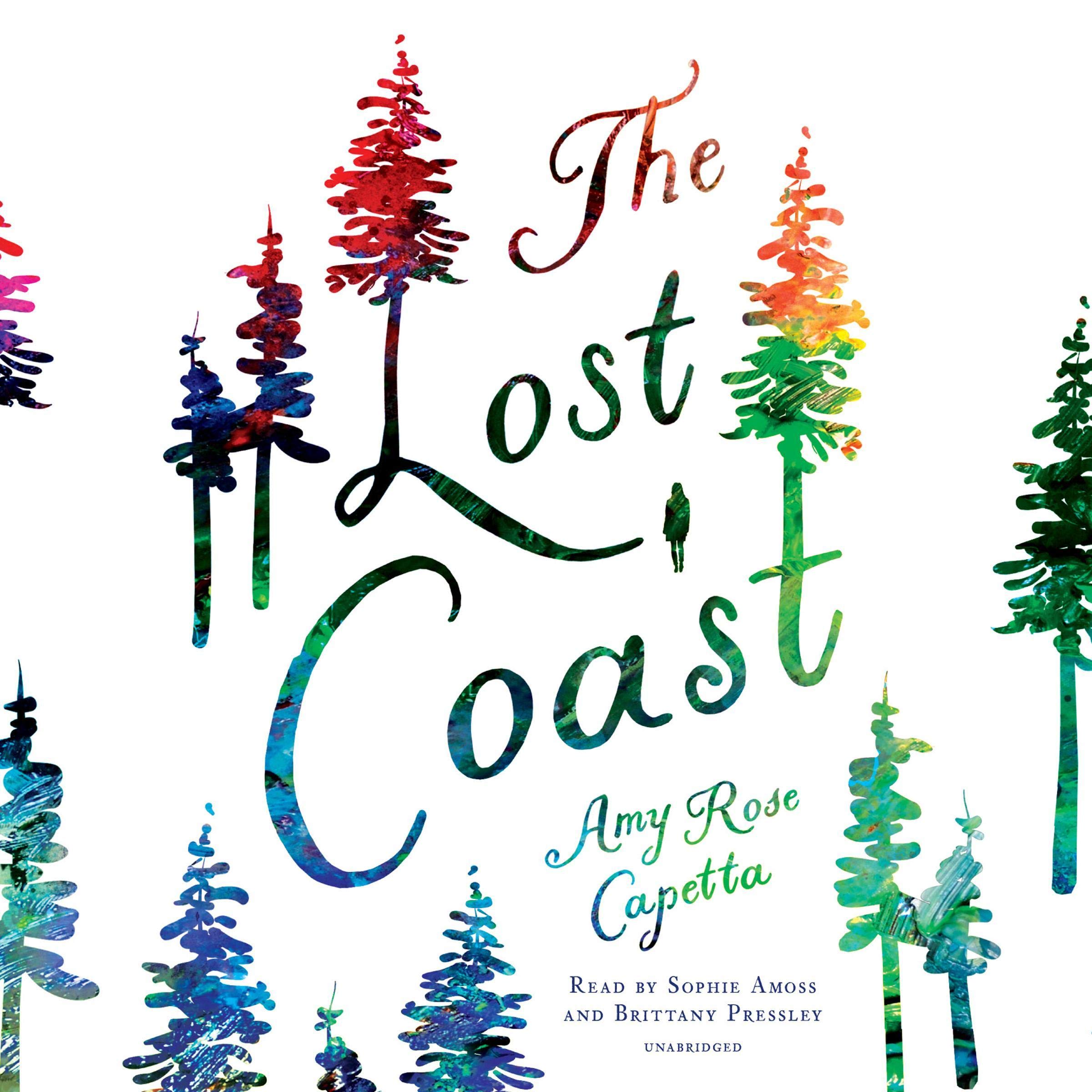 Cover art for The Lost Coast