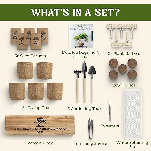 Miniatura 6 de Kit de árbol bonsái de bricolaje para principiantes, 5 árboles bonzai japoneses únicos, kit completo de inicio de bonsái de interior para cultivar