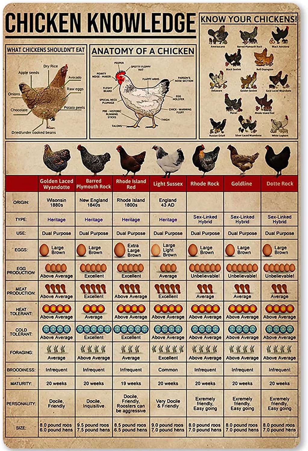 rayprint Chicken Overview Infographic Metal Tin Sign Chicken Knowledge Chicken Coop Plaques Farmers Farm Farmhouse Home Poster Decor 12x16Inches