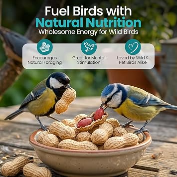 (3L BAG) Peanuts in Shell for Wild Birds Food, Nuts for Wild Birds Feed