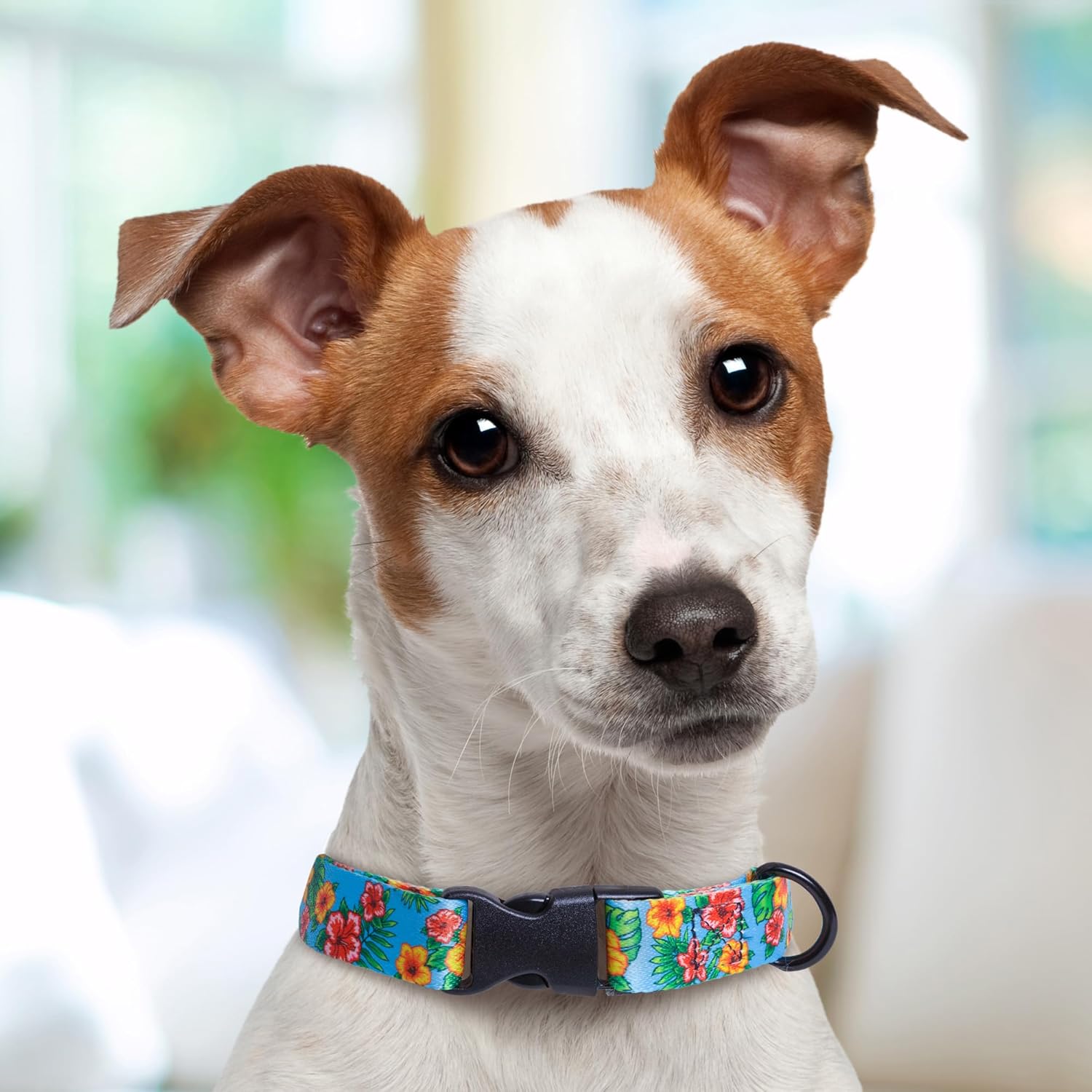 Hawaiian Hibiscus Dog Collar Personalized (Large 1")