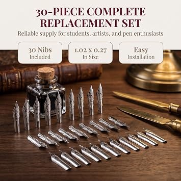 STOBOK 30Pcs Fountain Pen Replacement Nibs Set Steel Calligraphy Pen Tips 0.5Mm for Writing Drawing Supplies Students Artists 1.02X0.27X0.11 Inch