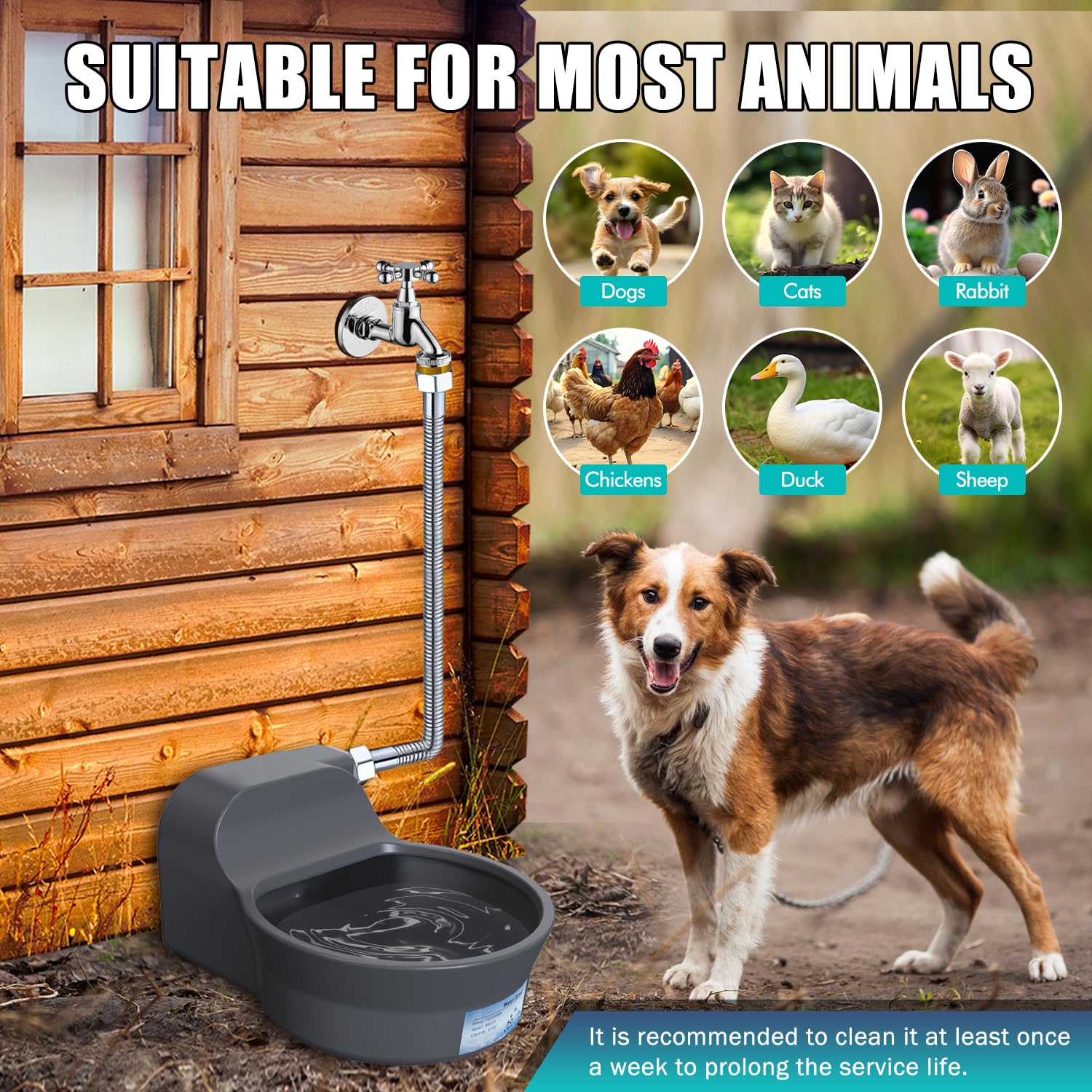 Automatic Water Dispenser For Dogs, Automatic Horse Waterer Bowl With 2 Float Valve,304 - View #5