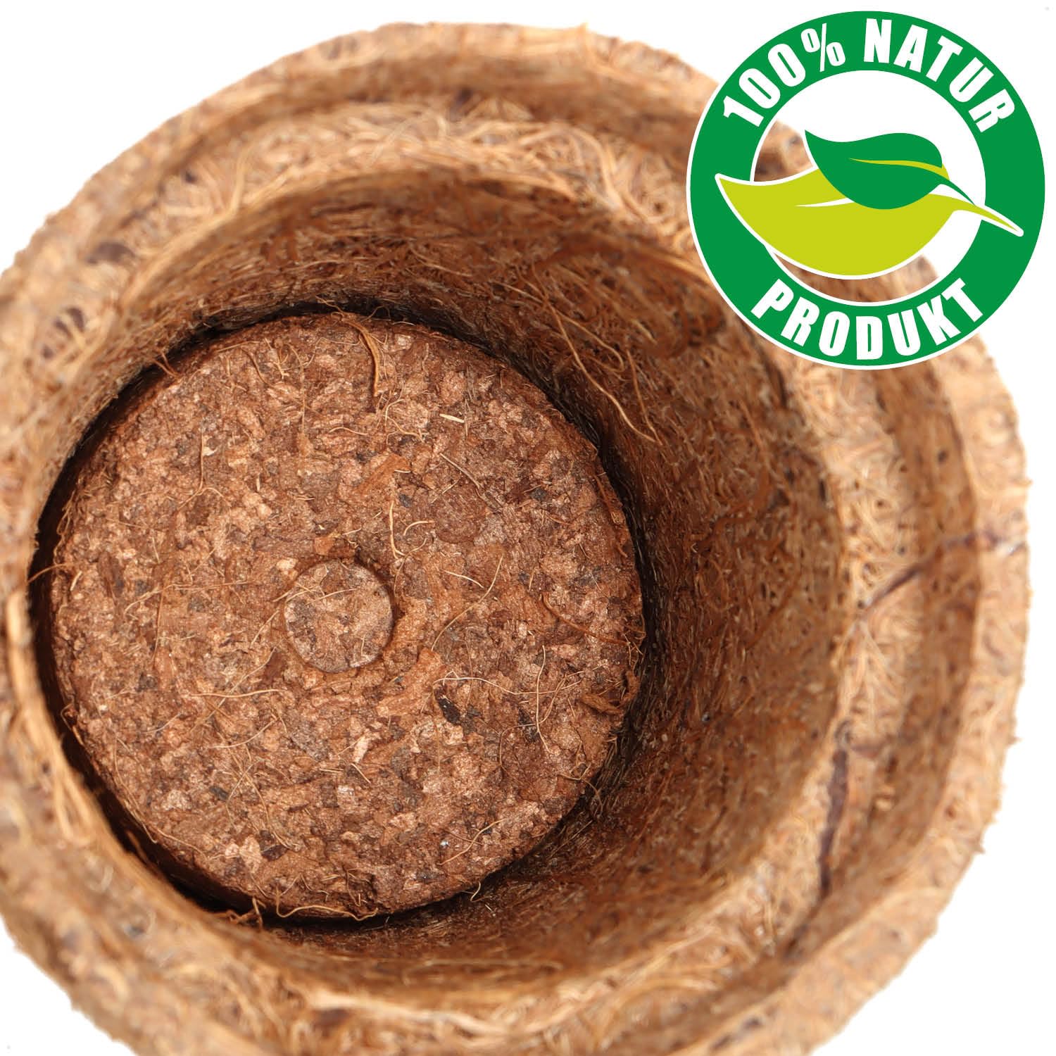 com-four® 20-teiliges Kokosanzucht-Set - biologisch abbaubare Kokosscheiben im Topf - Anzuchthilfe aus 10 Quelltabs und 10 Töpfen - Pflanzschalen aus Kokosfaser - Anzuchtunterstützung für Samen