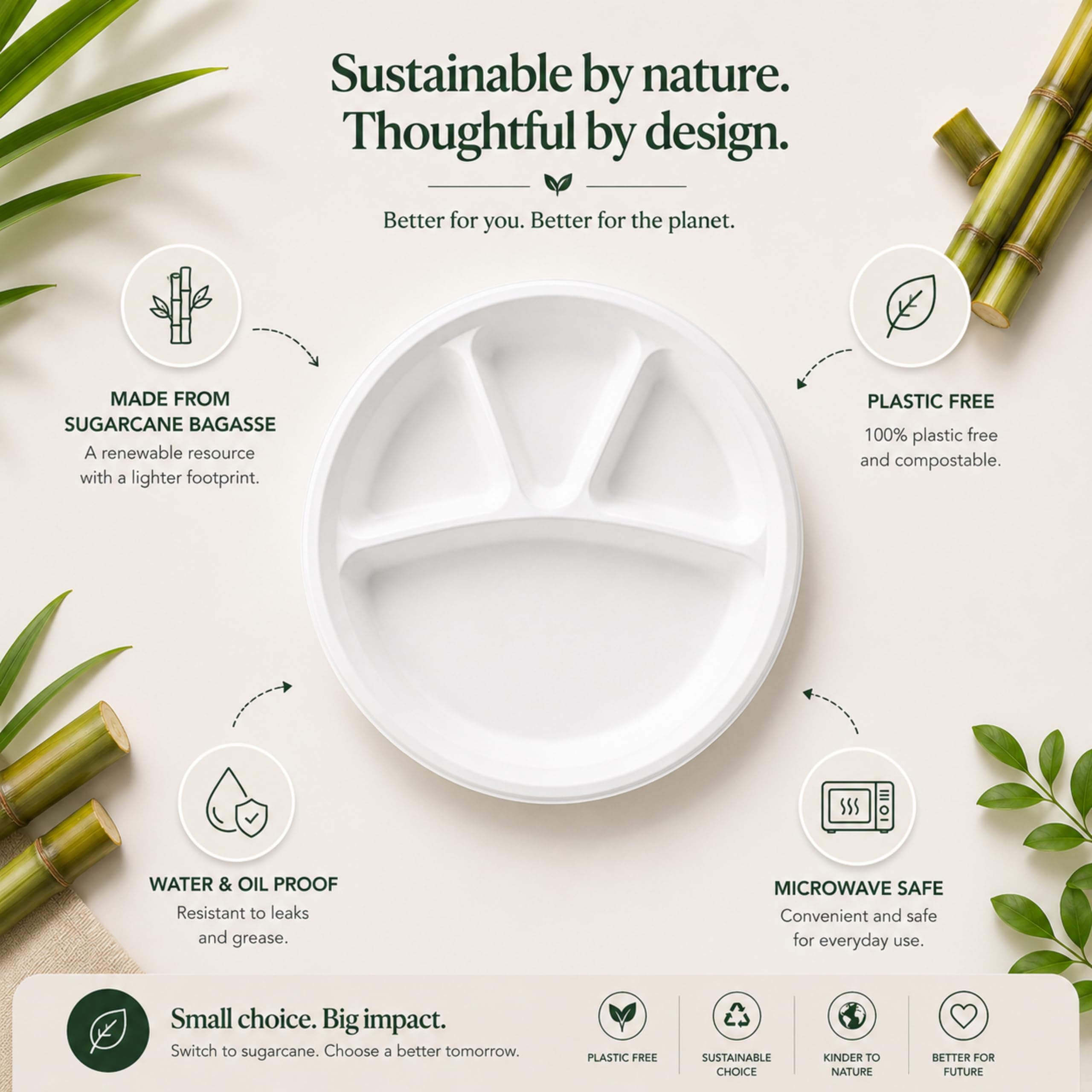 Biodegradable Plates - 10 Pack, 11 Inch -3
