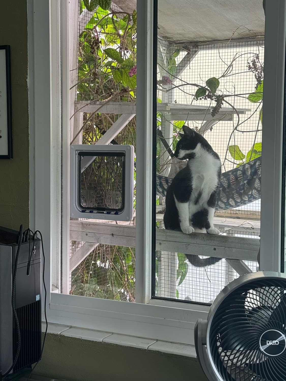 Custom Cat Door Window Insert - Plexiglass | Insulated & Weather-Sealed | Tool-Free Install for Horizontal & Vertical Windows | Microchip Lock Options | Made in USA | Small Dogs & Pets