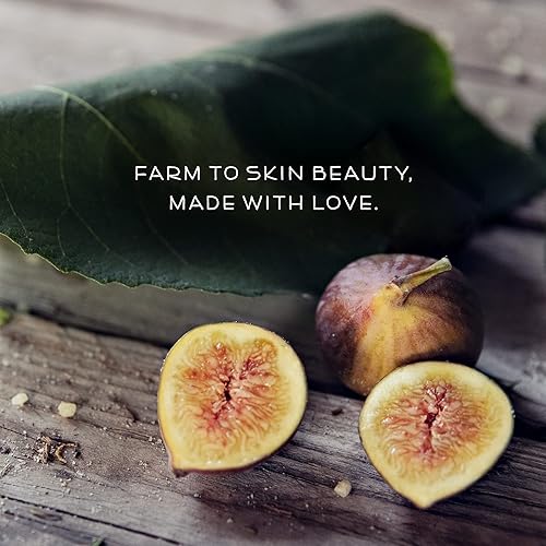 Miniatura 6 de Farmstead Apothecary Bálsamo labial 100% natural con cera de abeja orgánica, manteca de karité orgánica y aceite de coco orgánico, higo y miel, 0.2