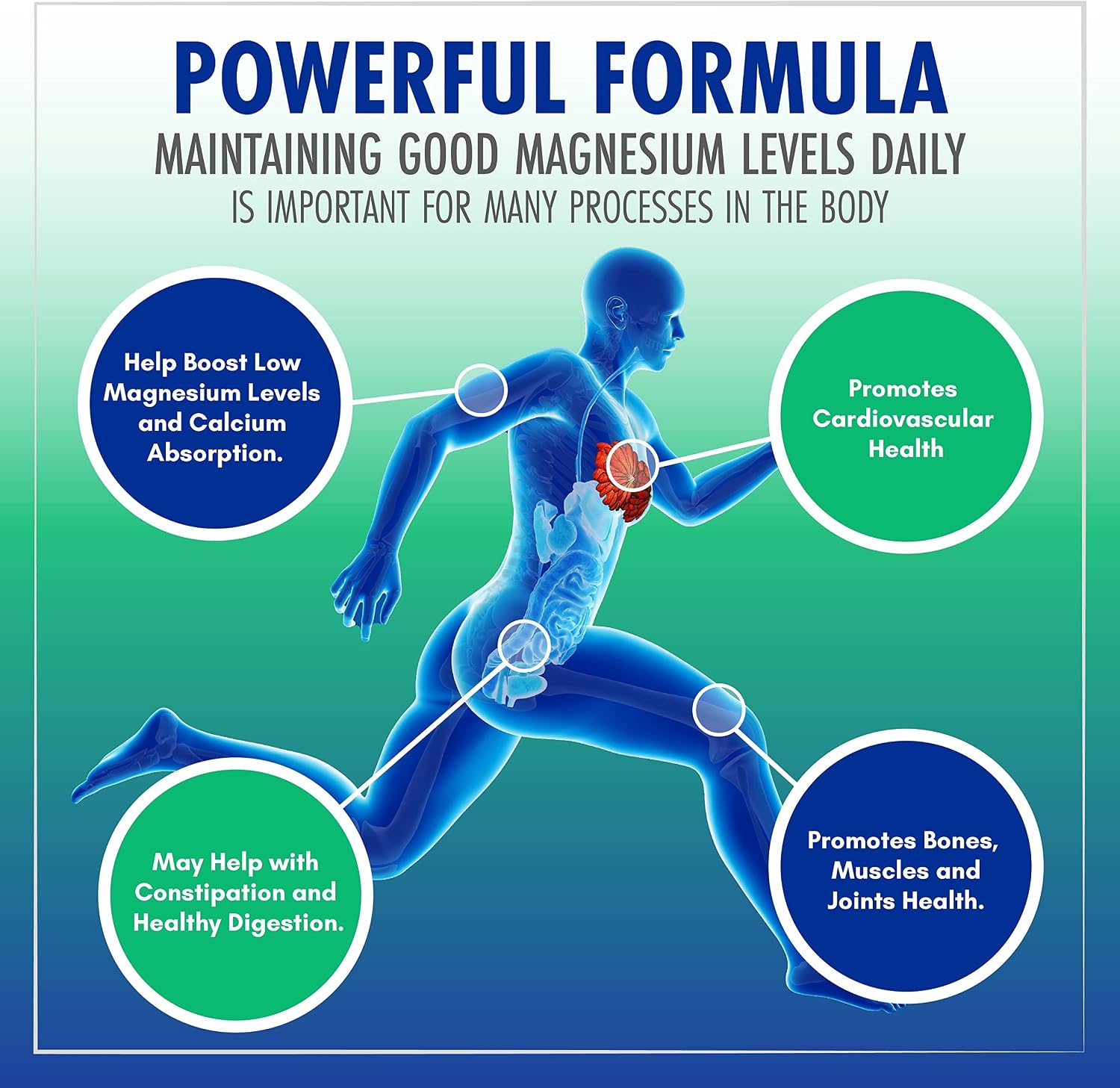 Smart365Labs PREMIUM MAGNESIUM COMPLEX | 1,321mg blend providing 300mg of Elemental Magnesium, 7 Magnesium Forms: Citrate, AA Chelate, Gluconate, L-Threonate, Malate, Oxide, Bisglycinate |120 Capsules