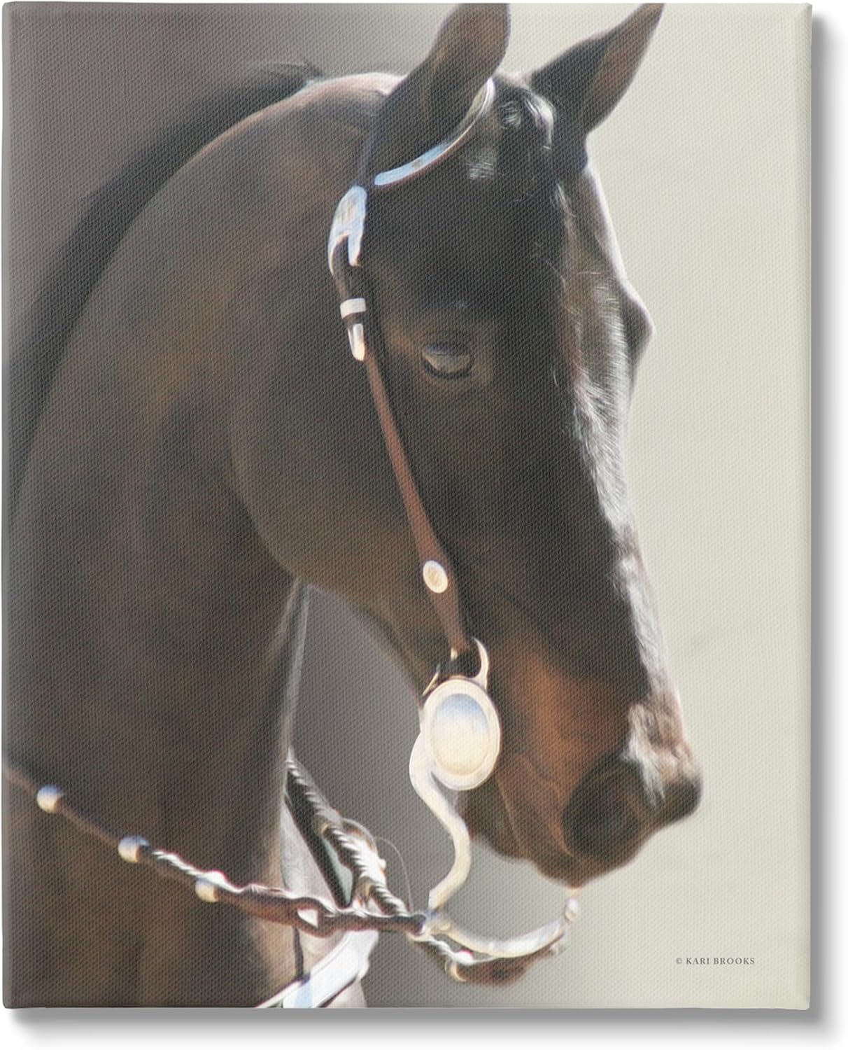 Stupell Industries Horse with Bridle Canvas Wall Art by Kari Brooks
