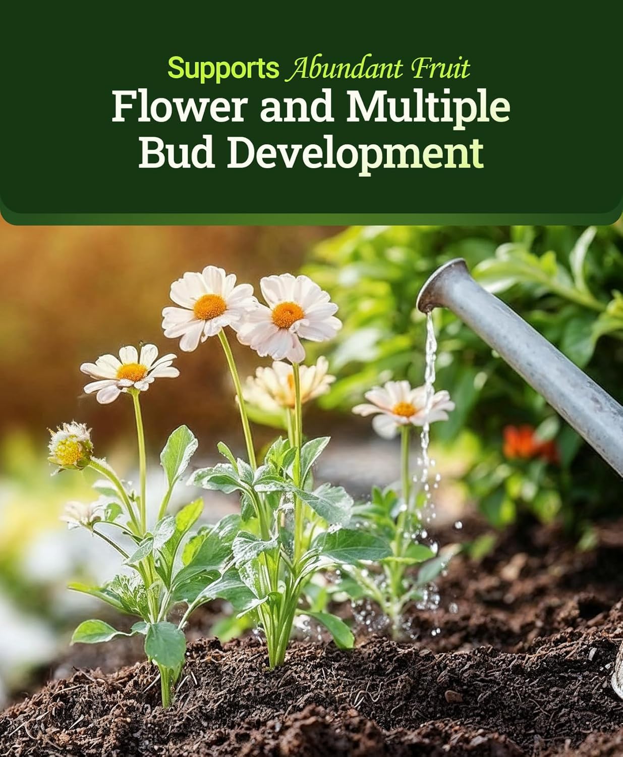 FoxFarm Tiger Bloom Liquid Plant Food - Phosphorus Fertilizer for Buds, Blooms & Flowering - Supports Soil & Hydroponic Systems - High Micronutrient Formula with 2-8-4 Nutrient Ratio - 1 Gallon