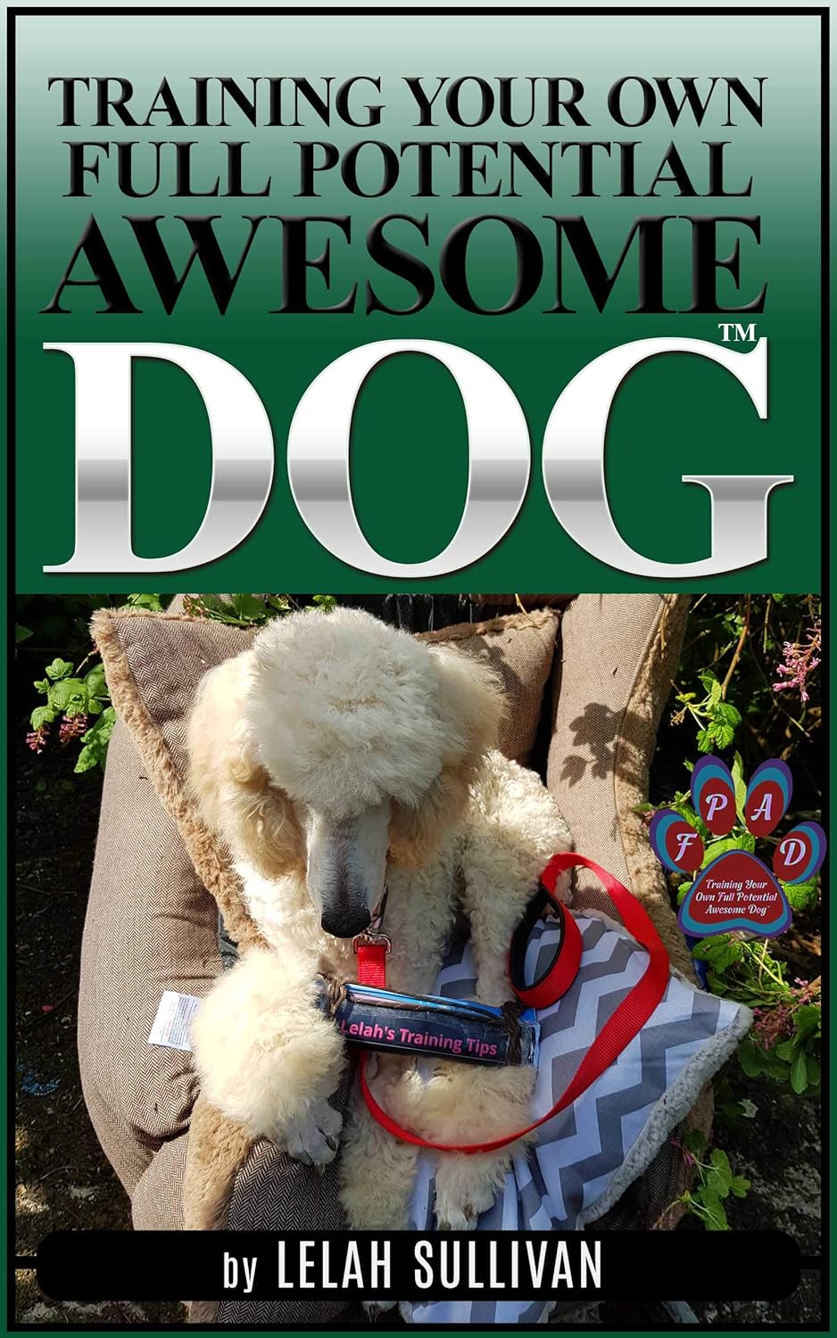 Training Your Own Full Potential Awesome Dog Service Dog Quality