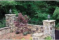 Vista 3 de Progress Lighting P8748-31 Adaptador de poste de montaje en superficie para montaje en superficie, postes redondos de diámetro exterior inferior