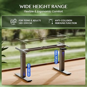FLEXISPOT BIG MAX Standing Desk Frame, 200KG Heavy Duty, 2 Motors 3-Stage