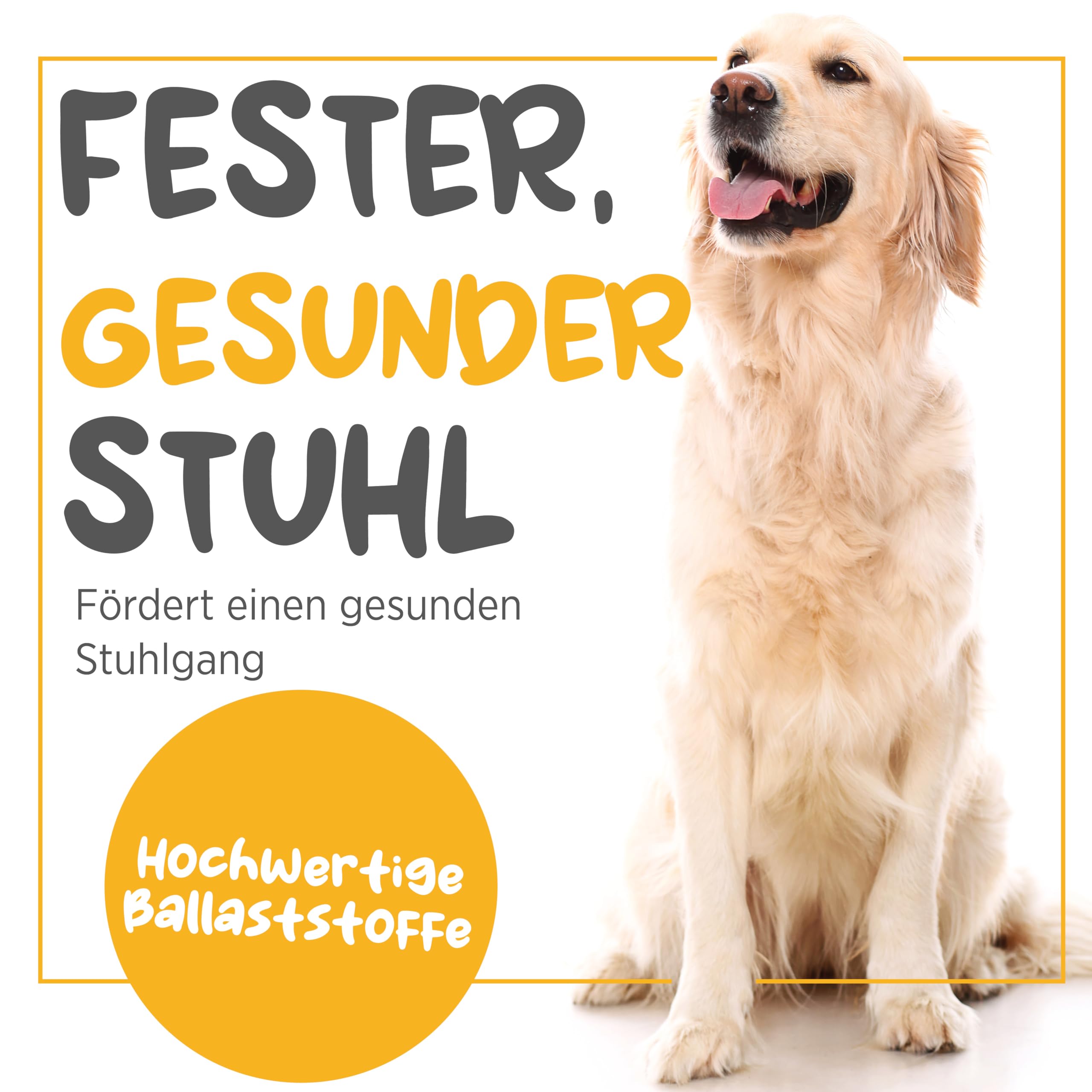 maxxipaws maxxiscoot Analdrüse & Darmgesundheit für Hunde - Nahrungsergänzungsmittel in Pulverform, 140g