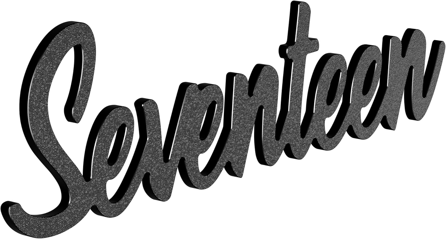 Cursive House Numbers for Outside – 6 Inch Floating Modern Script Address Numbers, Weatherproof Black ABS Plastic, Mid Century Style (Seventeen)