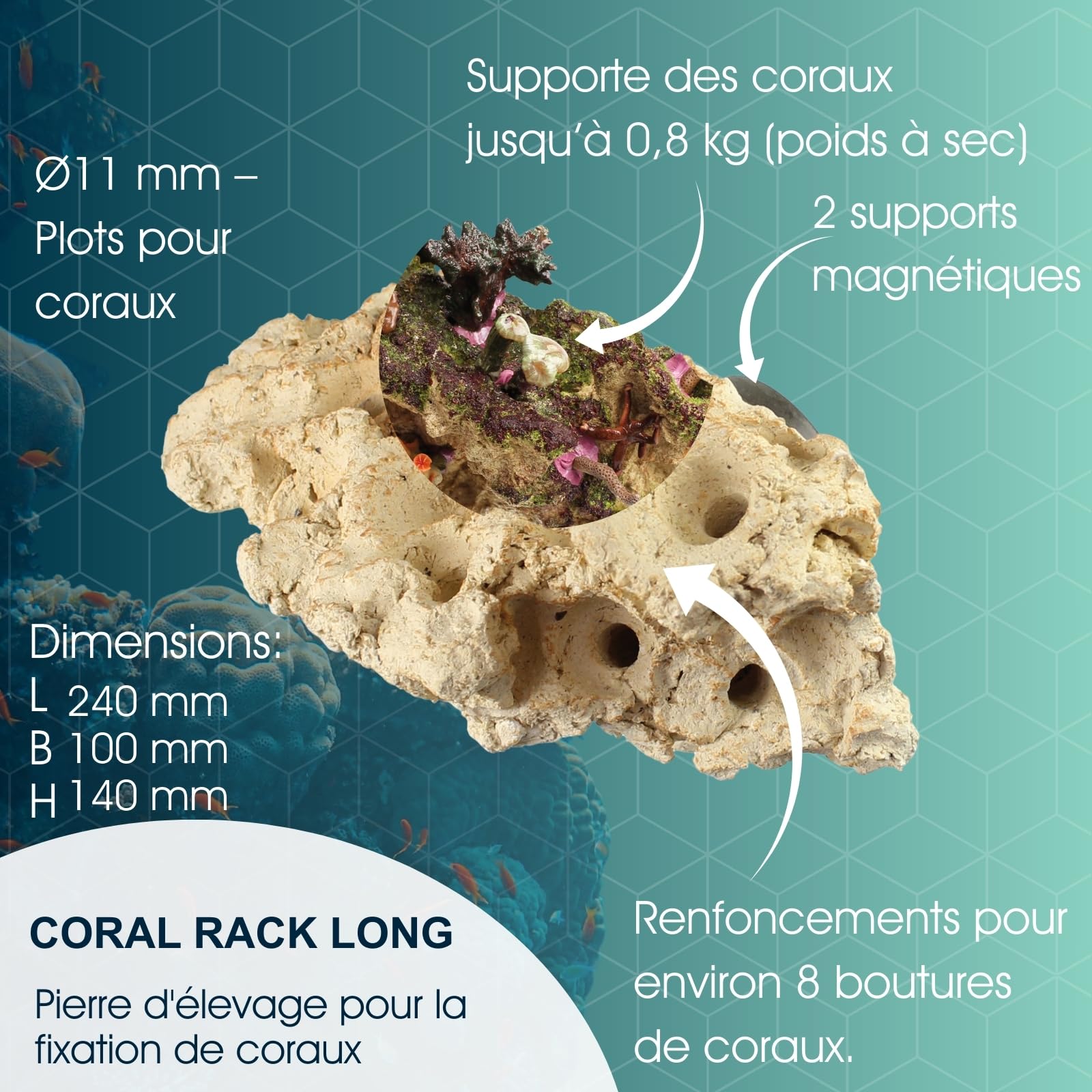Tunze Coral Rack Long, 1 Stück (1er Pack), 0104.820