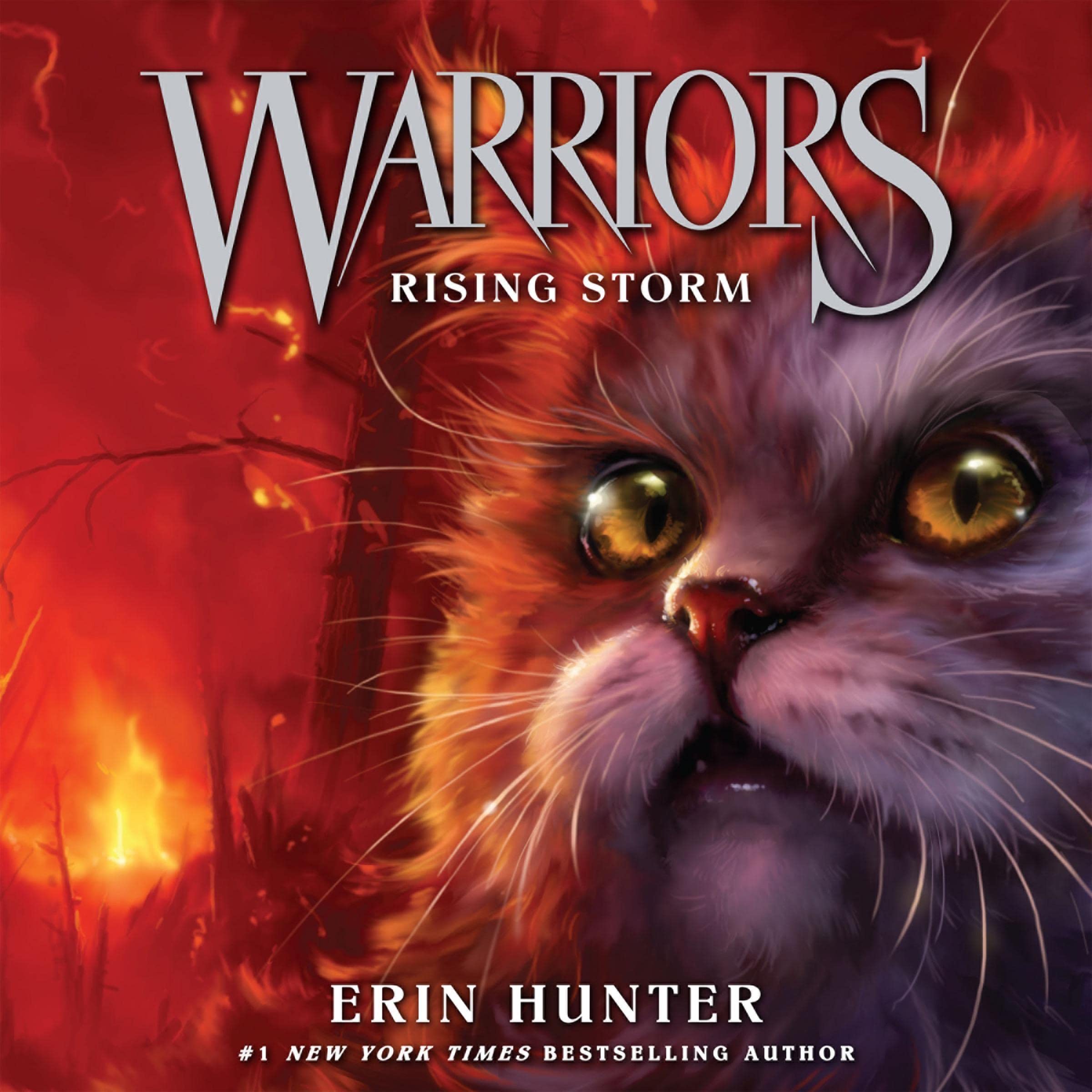 Cover art for Rising Storm