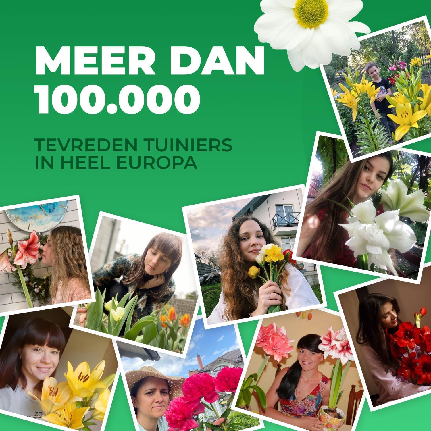 kwekerij , vaste planten, lavendel, kruiden, prairieplanten, siergrassen en andere tuinplanten online bestellen of op de kwekerij kopen ( salie