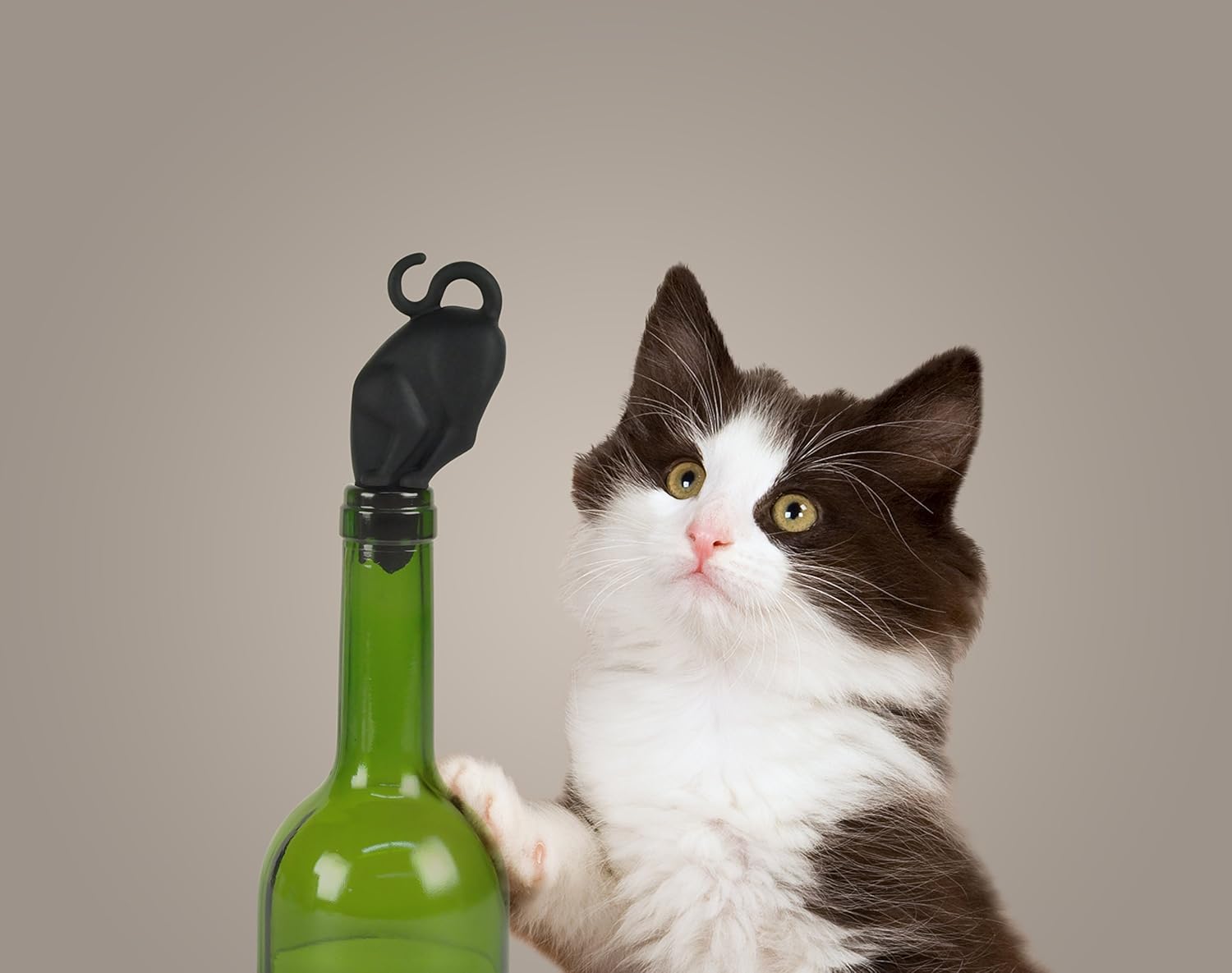 Genuine Fred STOP KITTY Wine Bottle Stopper - Image 2