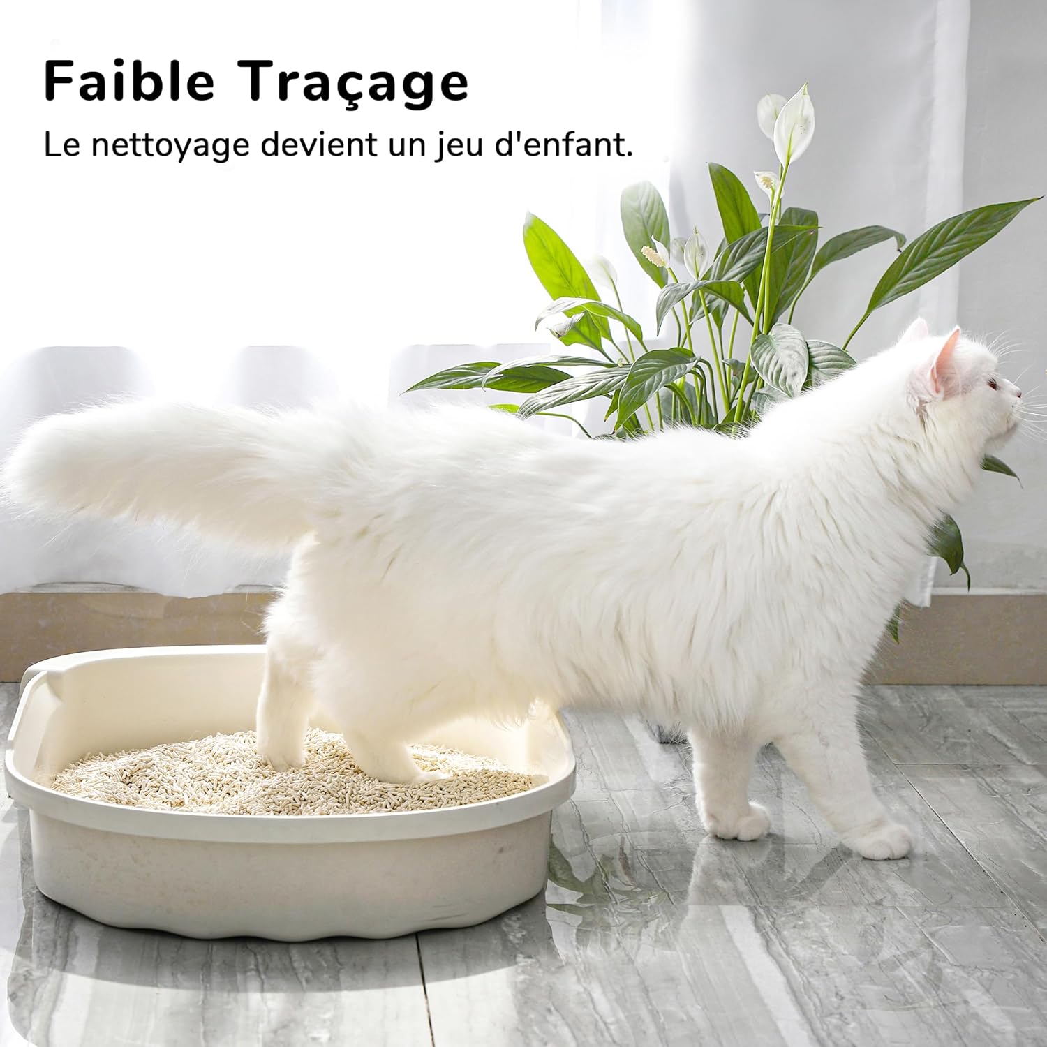 White cat standing in a litter box, illustrating low tracking