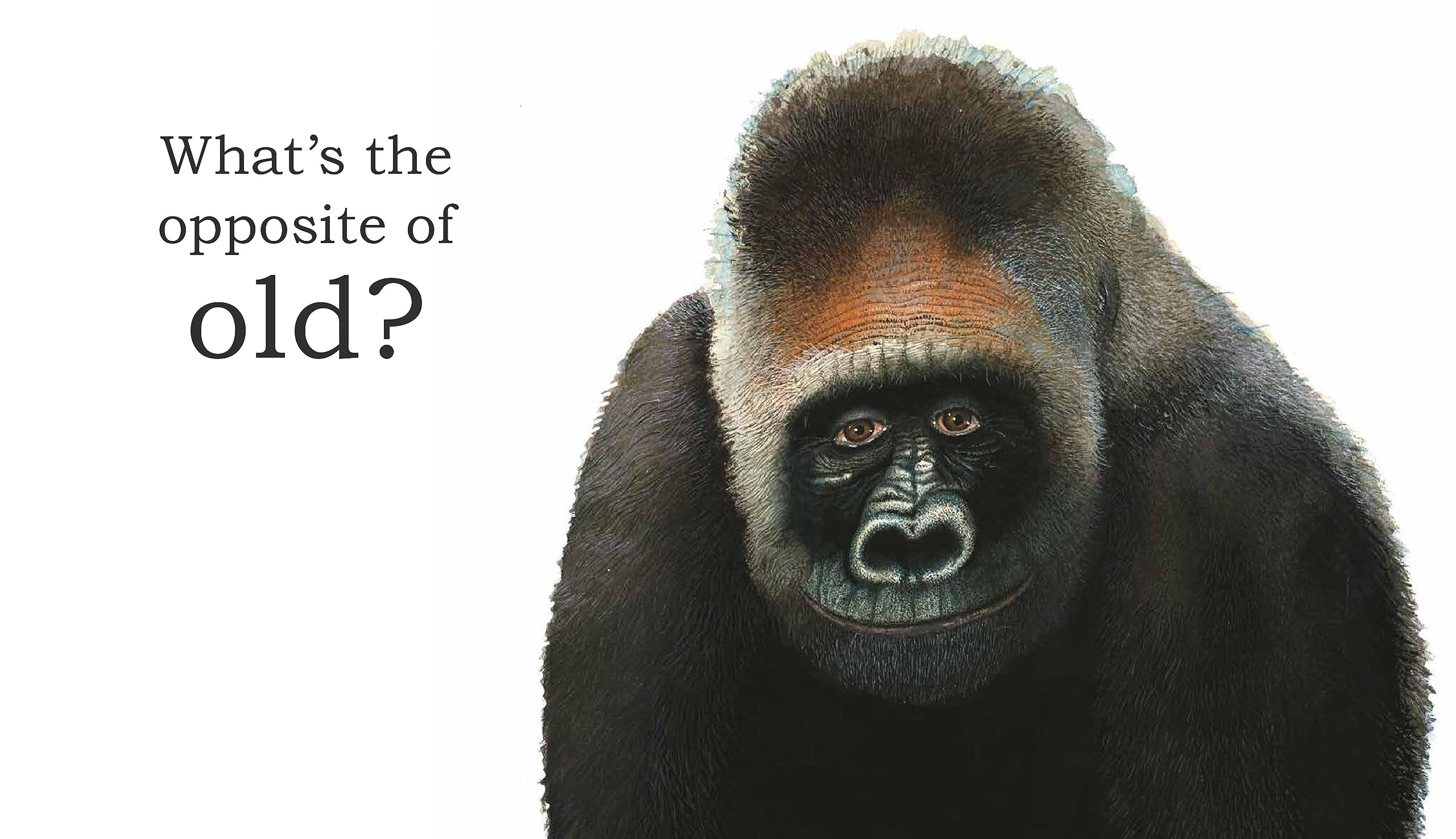 Big Gorilla: A Book of Opposites