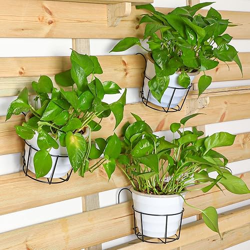 Miniatura 2 de 12 macetas colgantes para macetas de 6 pulgadas, soporte negro para barandilla, estante de hierro, cesta de balcón, contenedor pequeño para