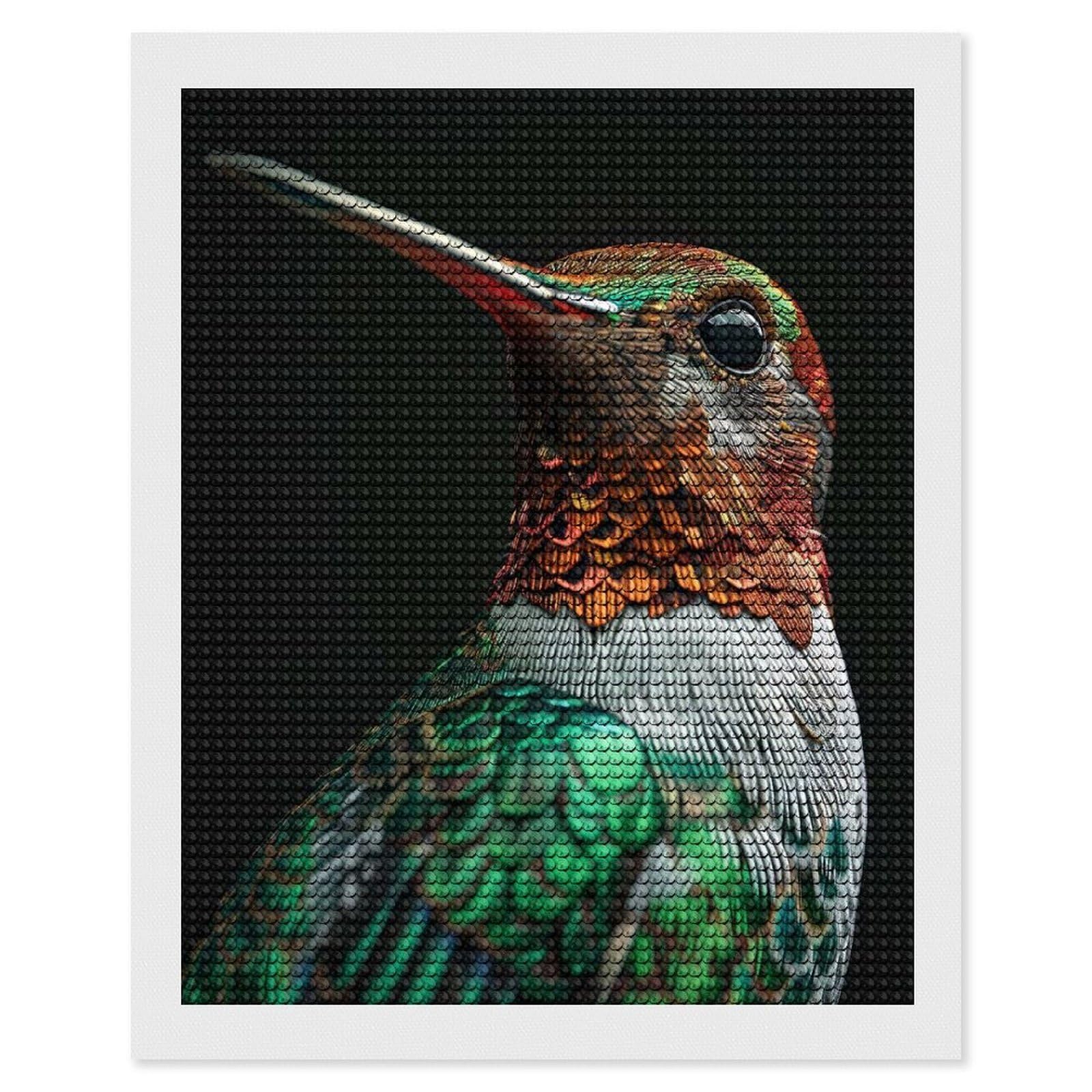 Junmoney Hummingbird Diamond Painting Canvas Set 16"x20", for Women, Pleasing Wall Art Project, Aesthetic Room Decor, Gift Idea