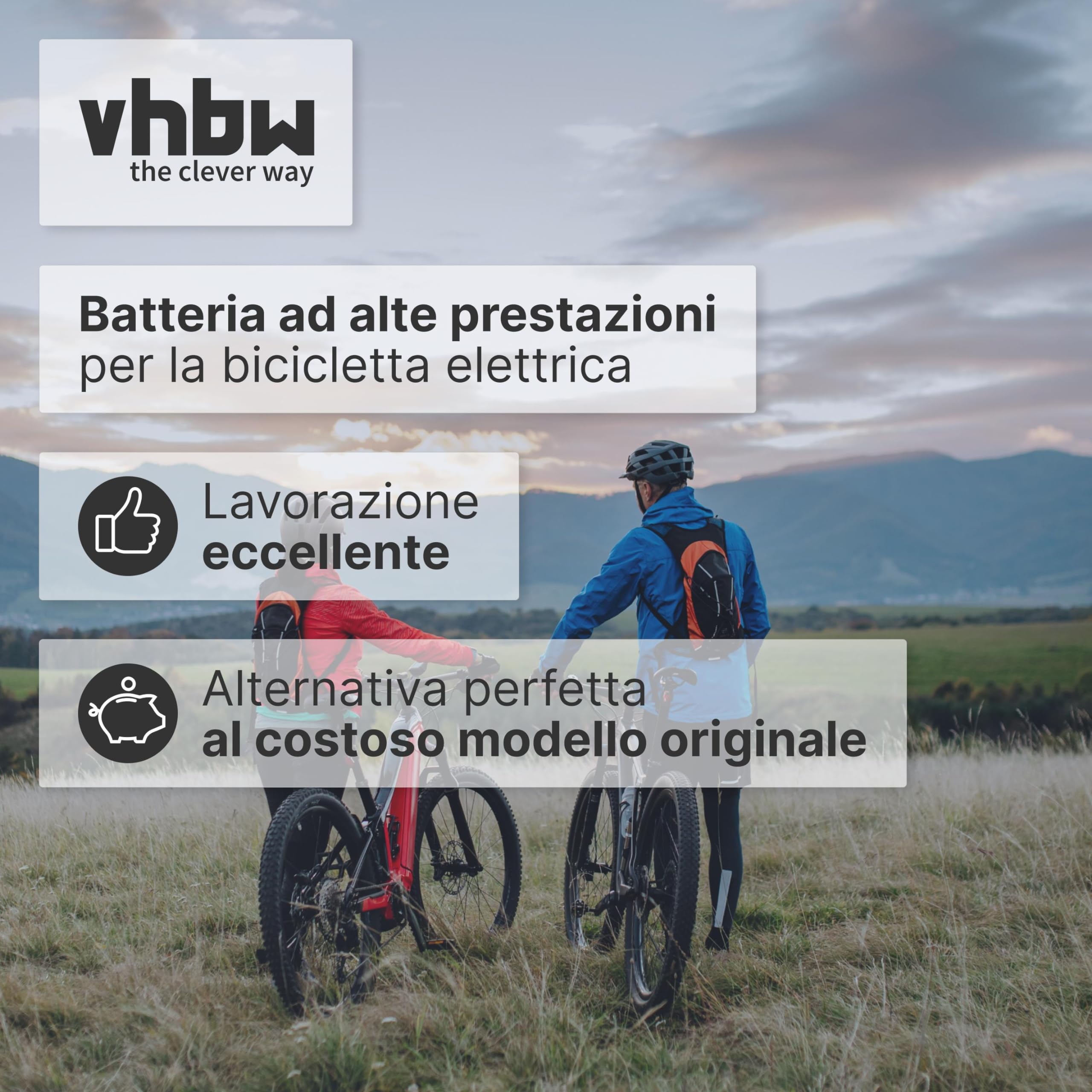 vhbw batteria compatibile con Kalkhoff Pro Connect S 27, S 11 bici elettrica (15,6Ah, 25,2V, Li-Ion) - argento