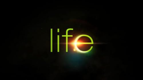 THE LIVING WORD MINISTRIES – vue 7