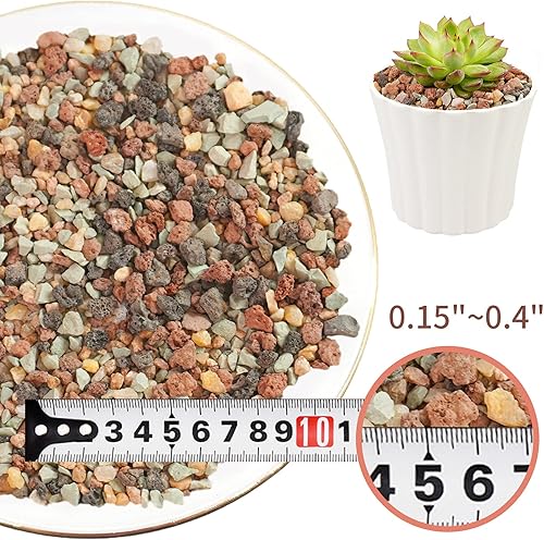 Miniatura 6 de Color Lava Rocks - Mezcla de tierra para macetas hortícolas, piedras arenosas, piedra pómez, roca volcánica para suculentas, cactus, bonsái, aderezo