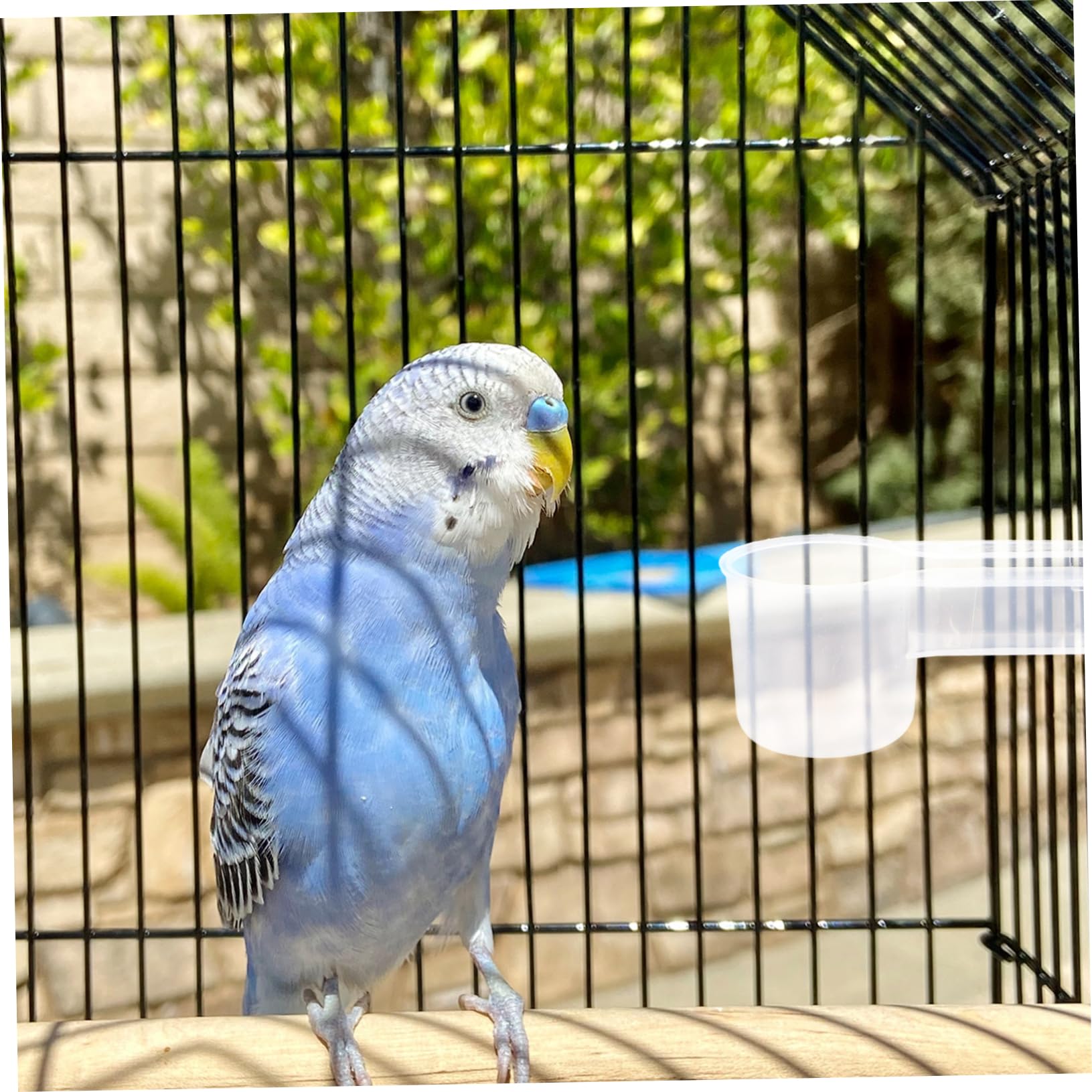 FRCOLOR Abbeveratoio per Uccelli e Piccioni in Plastica Bianca Doppia Porta, Resistente e Facile da Pulire, per Negozio di Animali o Uso Domestico, Confezione da 10 Pezzi