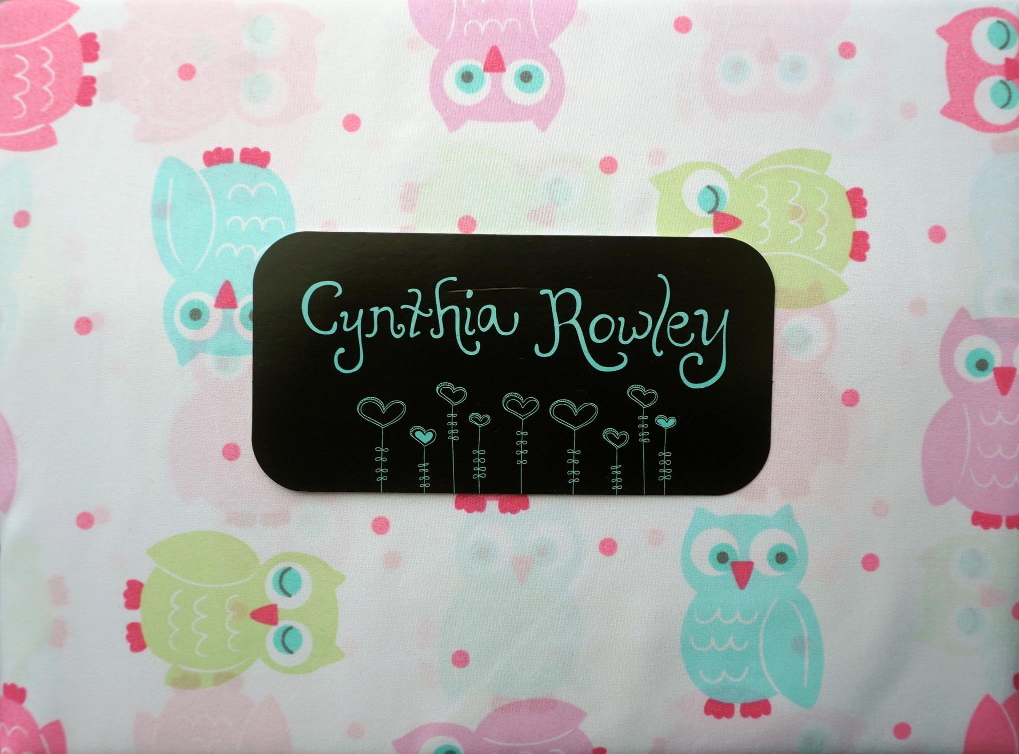 Cynthia Rowley Kids Bedding Girls 4 Piece Full Sheet Set Pastel Birds Owls on White