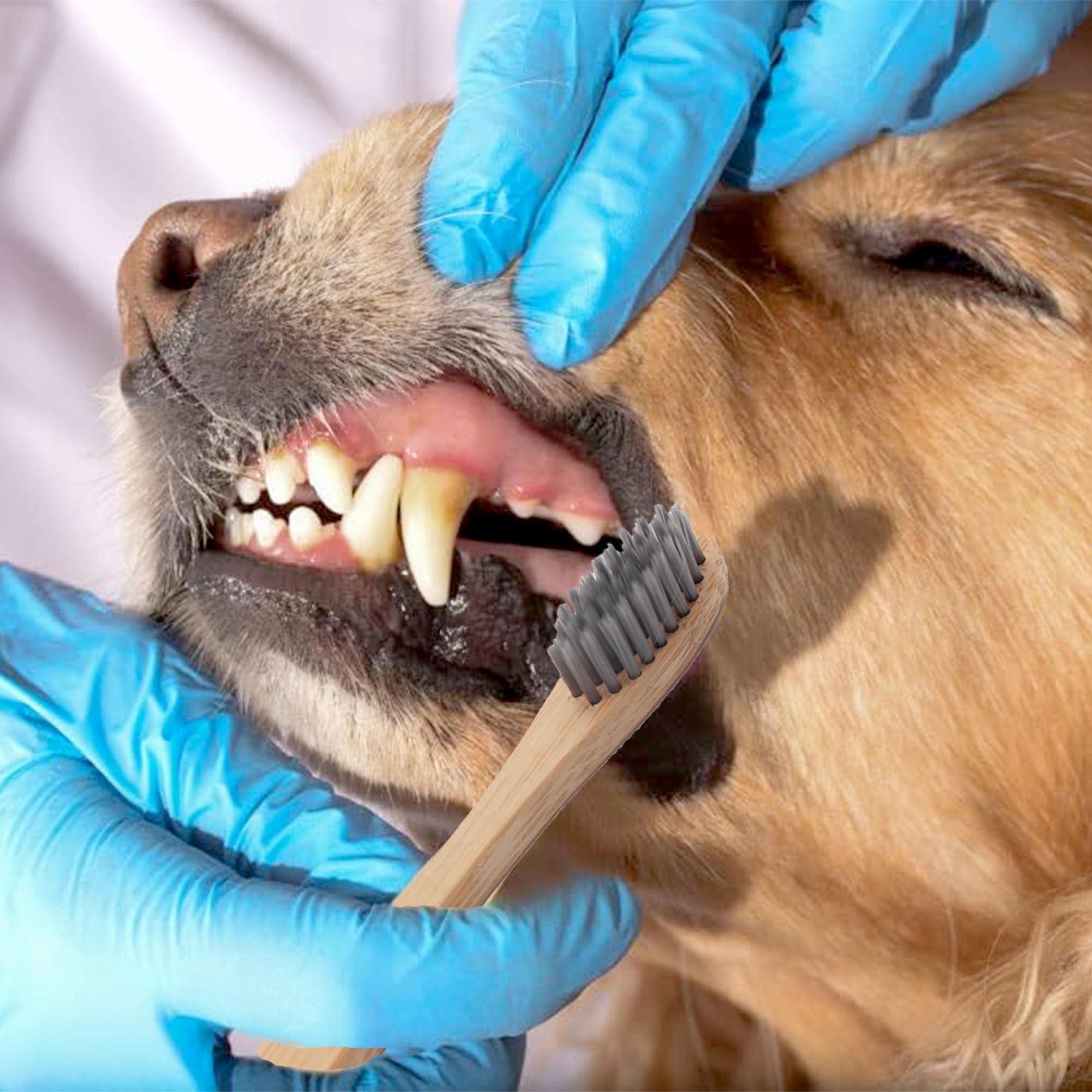 H&H Pets 3 cepillos de dientes de bambú