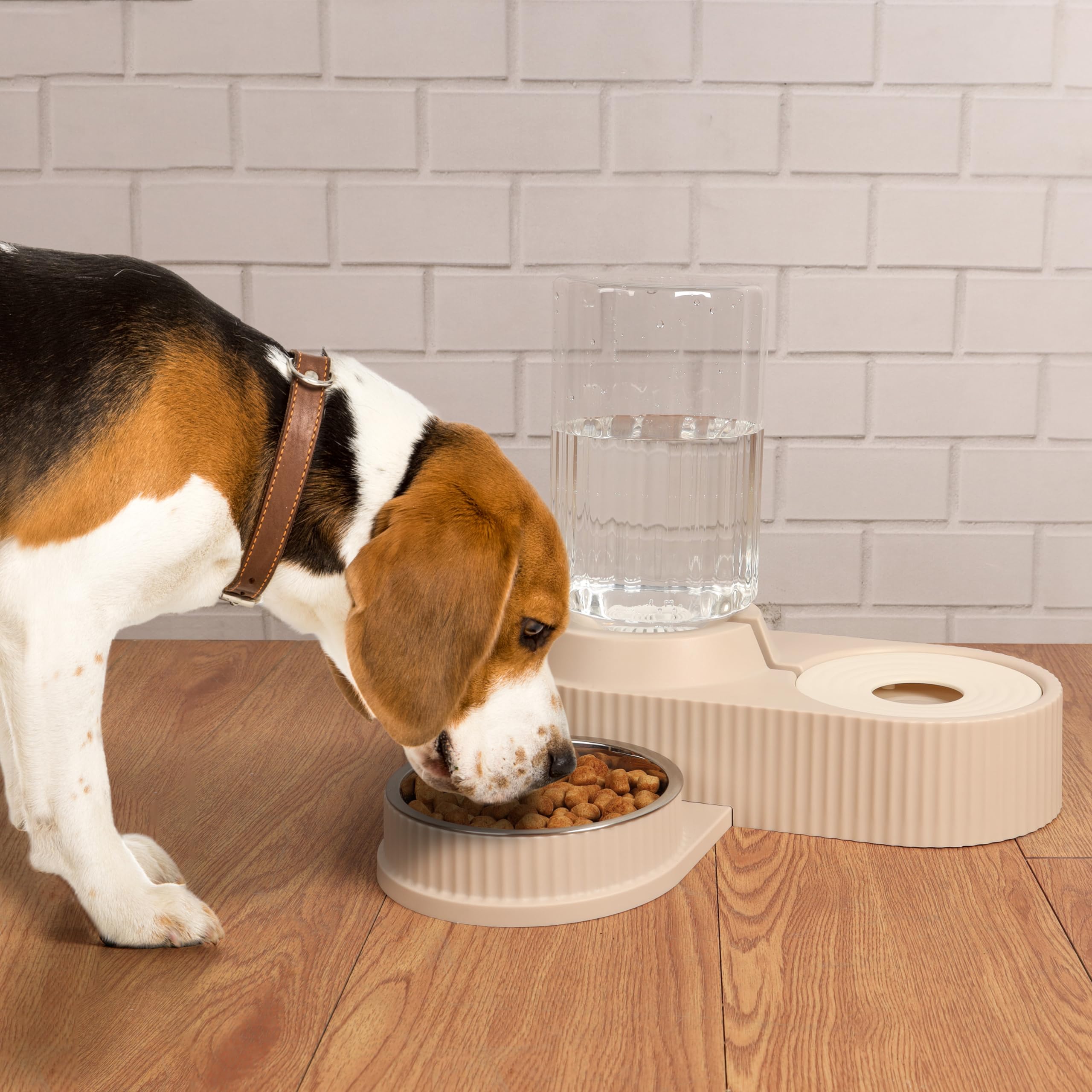 BELLE VOUS Futterspender Für Haustiere 500ml - Automatisch Ohne Strom