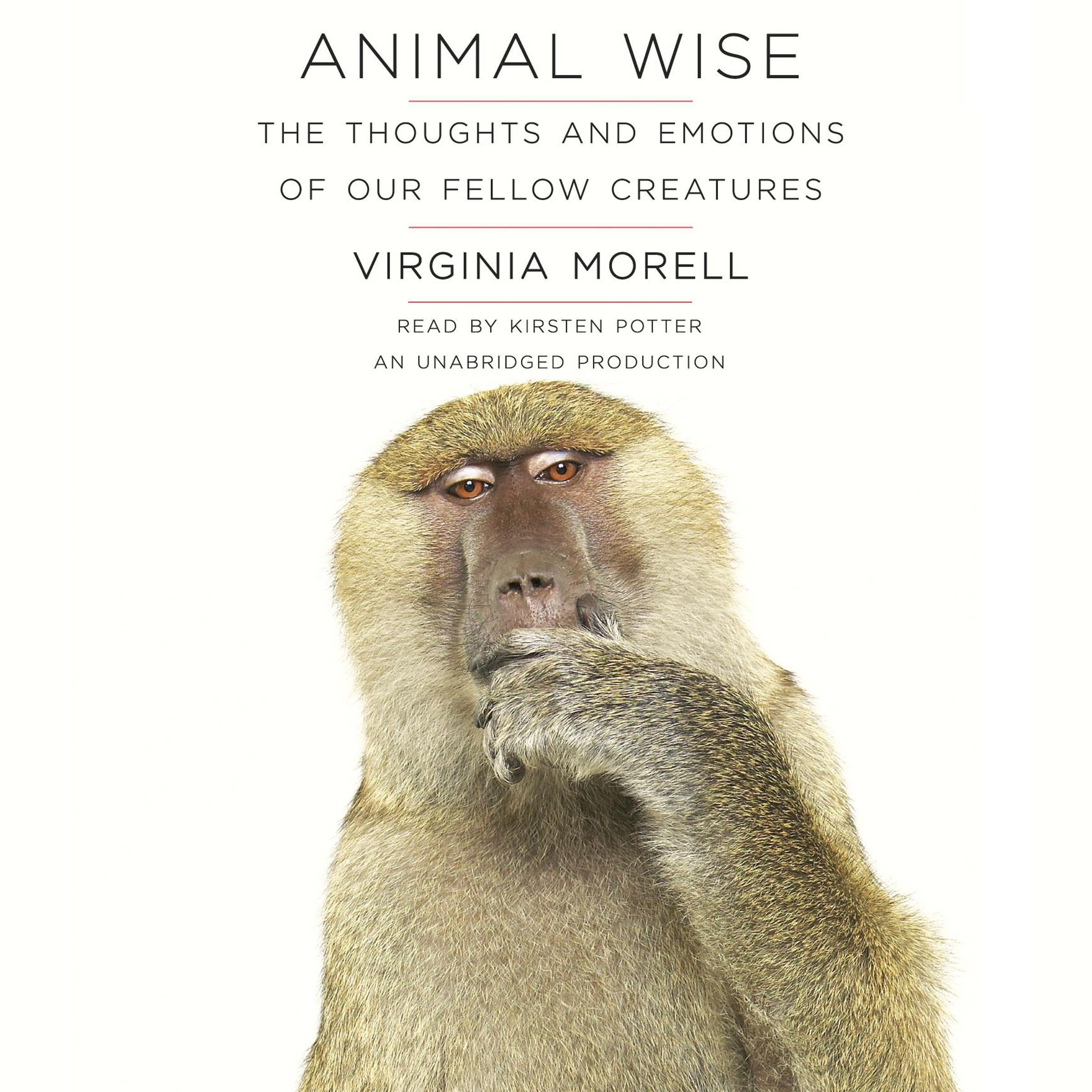 Cover art for Animal Wise