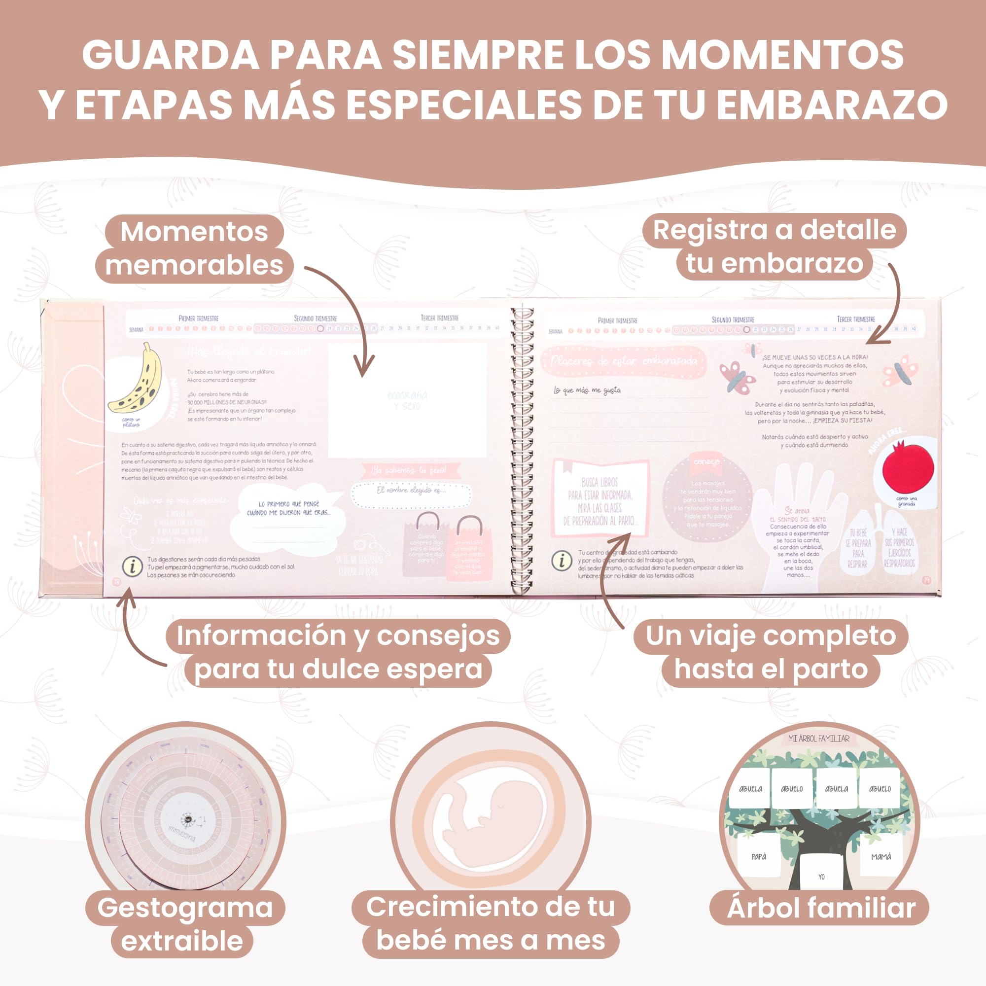 MIMUSELINA Diario Embarazo para Rellenar Cada Semana | Libro Embarazo Recuerdos con Fotos, Consejos, Pensamientos | Album Bebe con Pegatinas y Gestograma | Regalos Embarazadas Originales | Moderno
