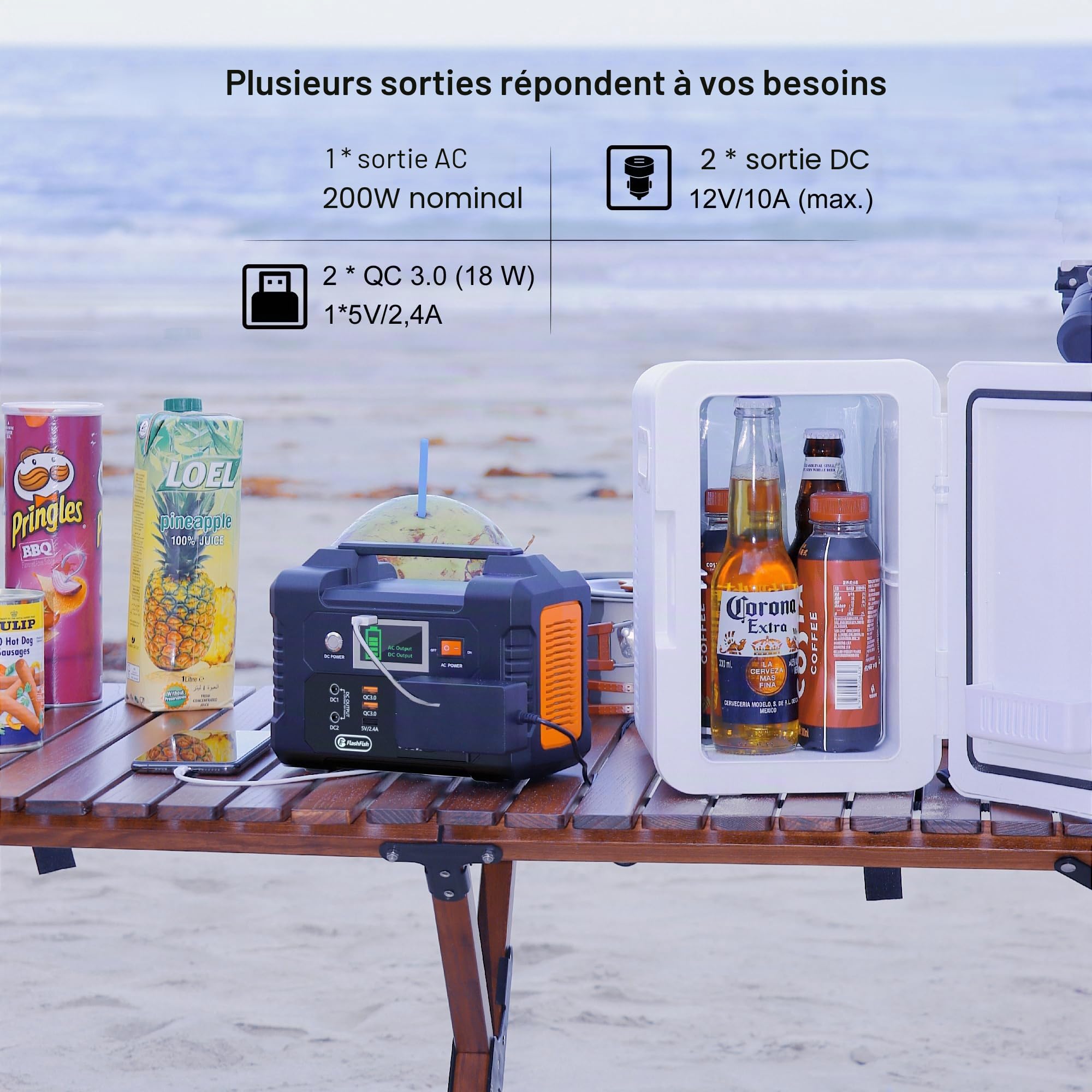 FlashFish 151Wh Station Électrique avec Panneau Solaire 100W, Générateur Électrique Portable 200W Avec 230V AC/DC/USB/type C, Kit Complet, Générateur Solaire Pour camping, voyages et Urgences