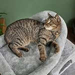 Catinsider 46.5 inches Cat Tree Multi-Level Cat Tower with Sisal-Covered Scratching Posts, Plush Perches, Hammock and Condo for Cats Light Gray