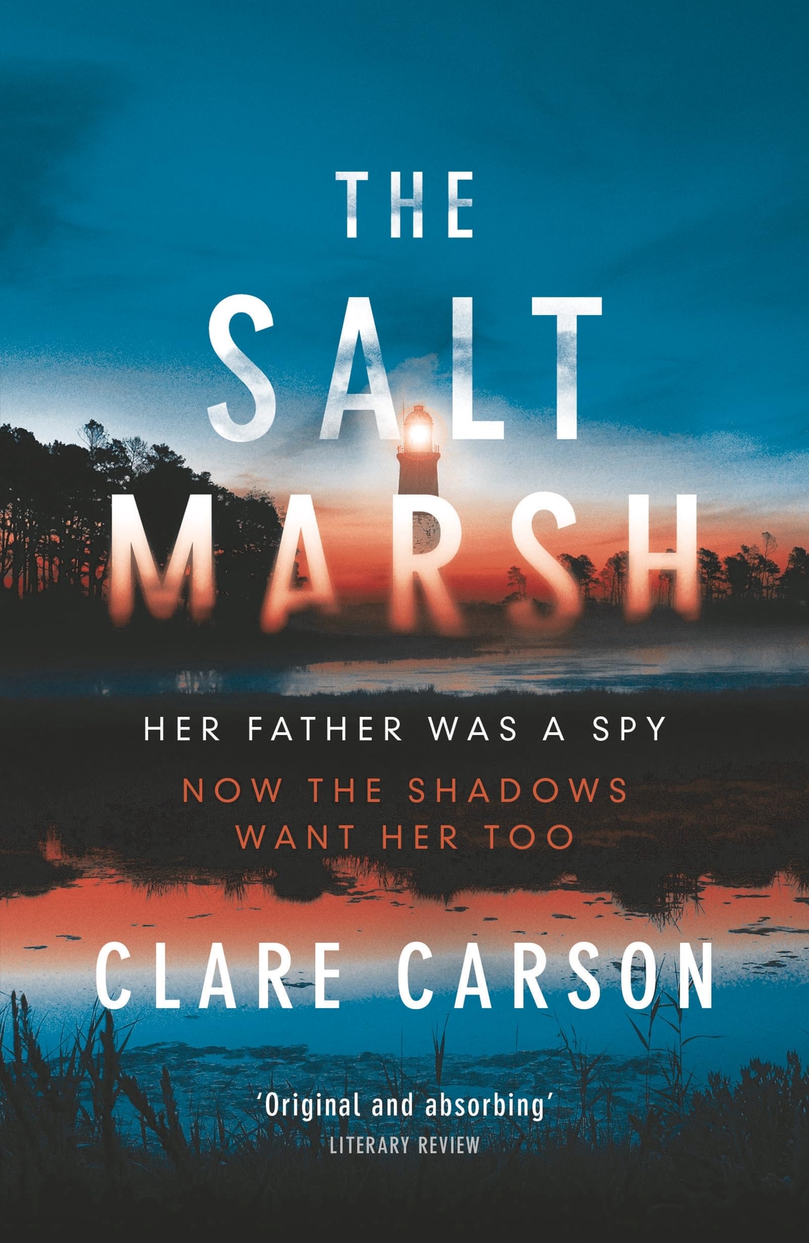The Salt Marsh by Clare Carson PAPERBACK 9781784081003