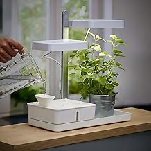 Northpoint LED Plant Lamp Grow Lamp Plant Light 30 W Herb Garden Timer Function Indoor Garden