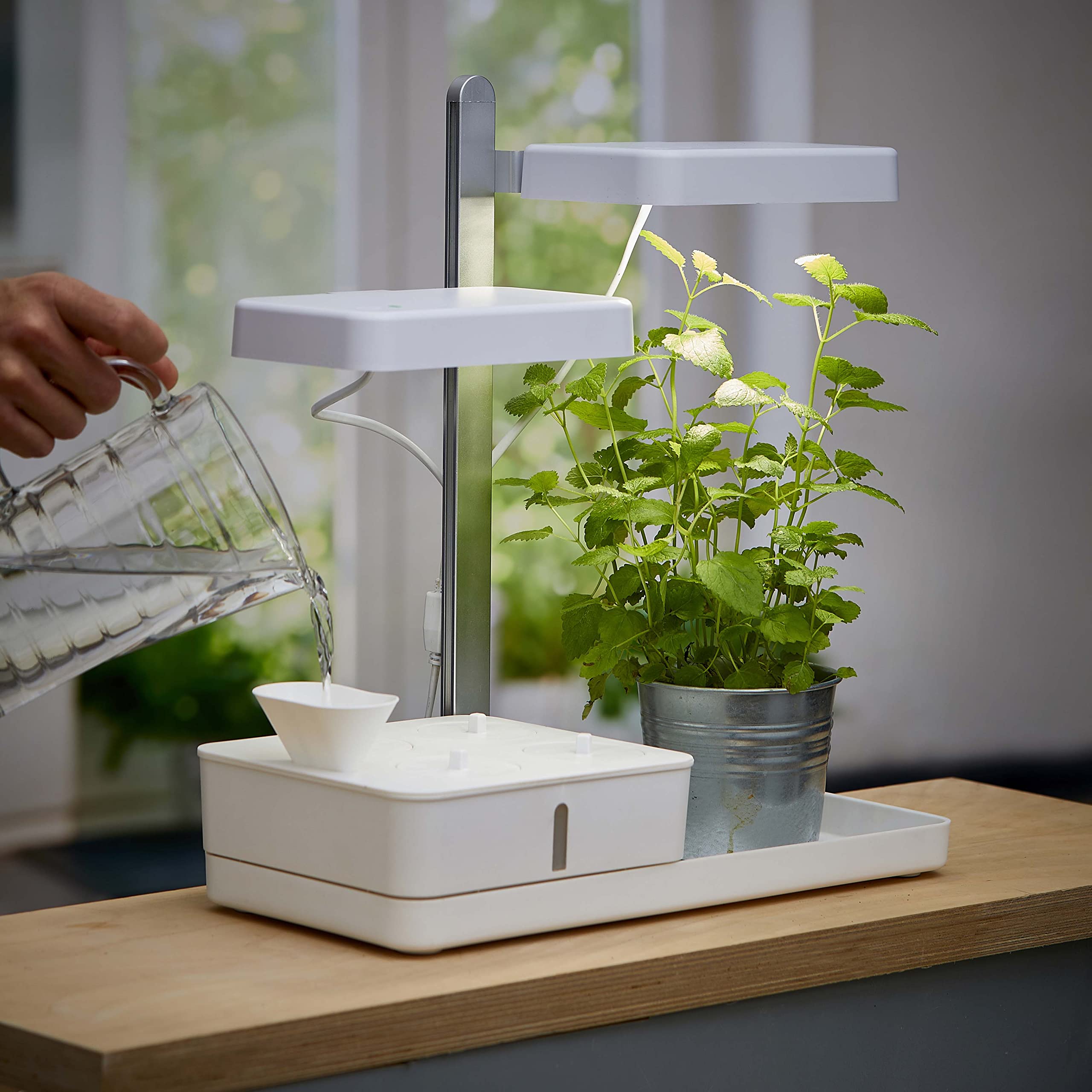 Northpoint LED Pflanzenlampe Gewächslampe Pflanzenlicht 30W Kräutergarten Timerfuntion Innengarten