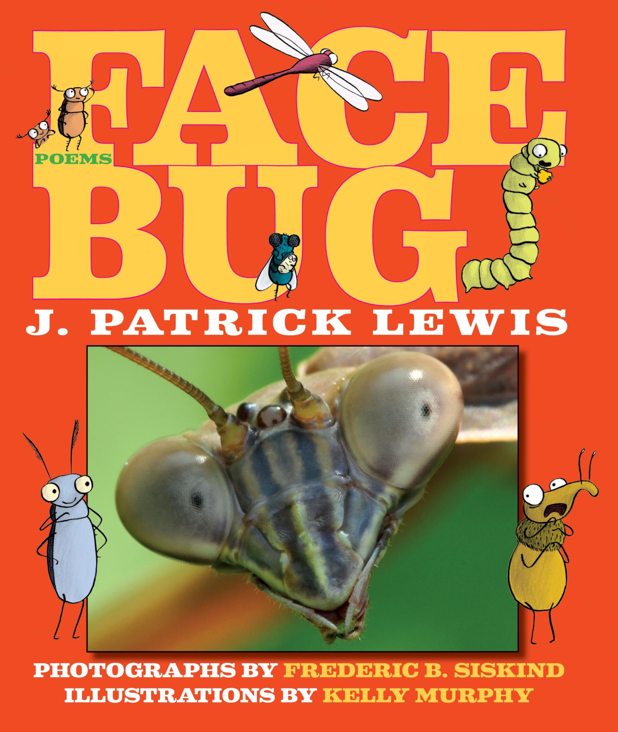 Face Bug Hardcover – Picture Book, March 1, 2013