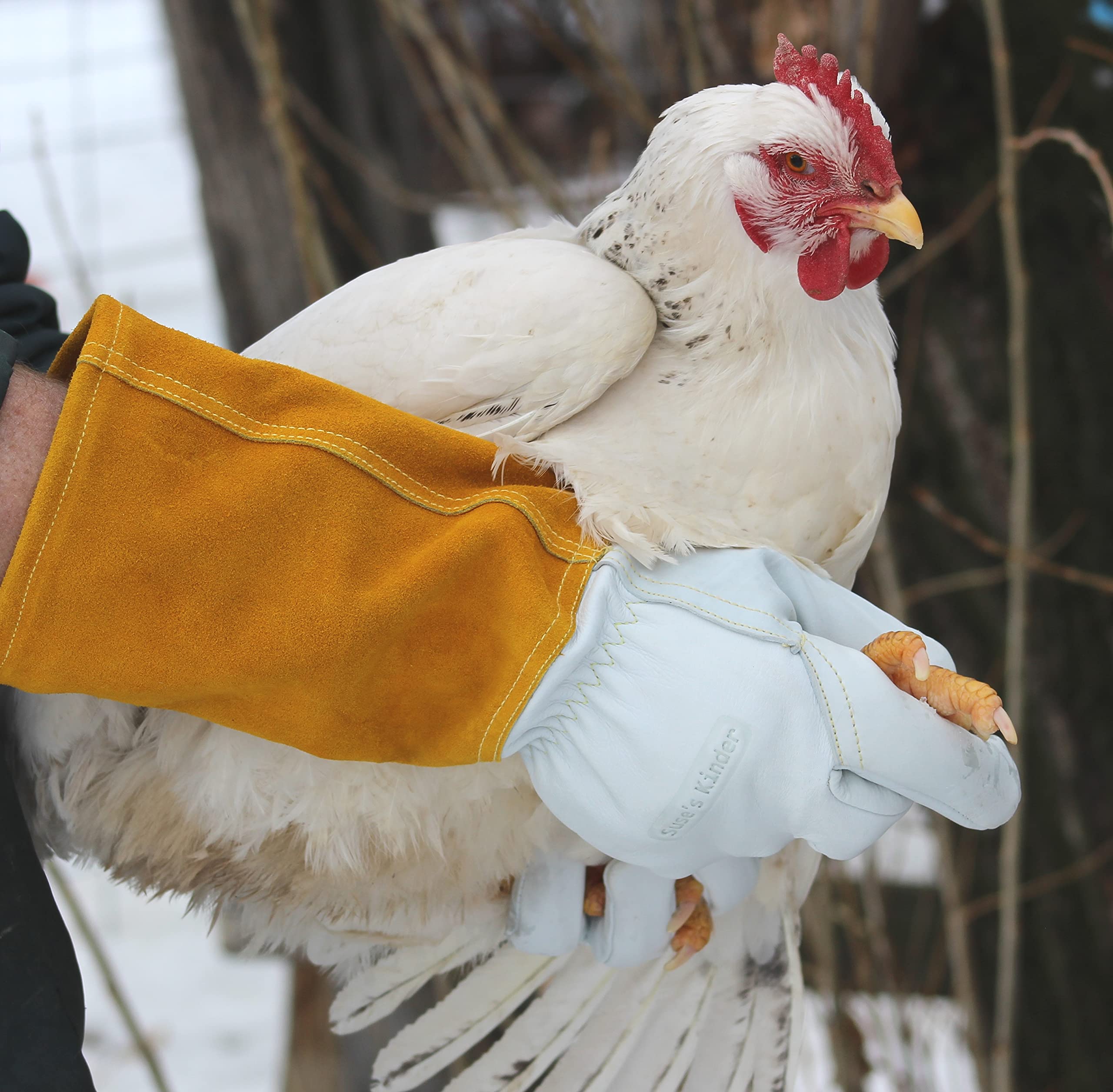 Suse's Kinder Falconry Gloves - For Dog, Hawk, Cat, Bird and Raptor Handling - Anti Scratch and Bite Leather and Kevlar (Medium)